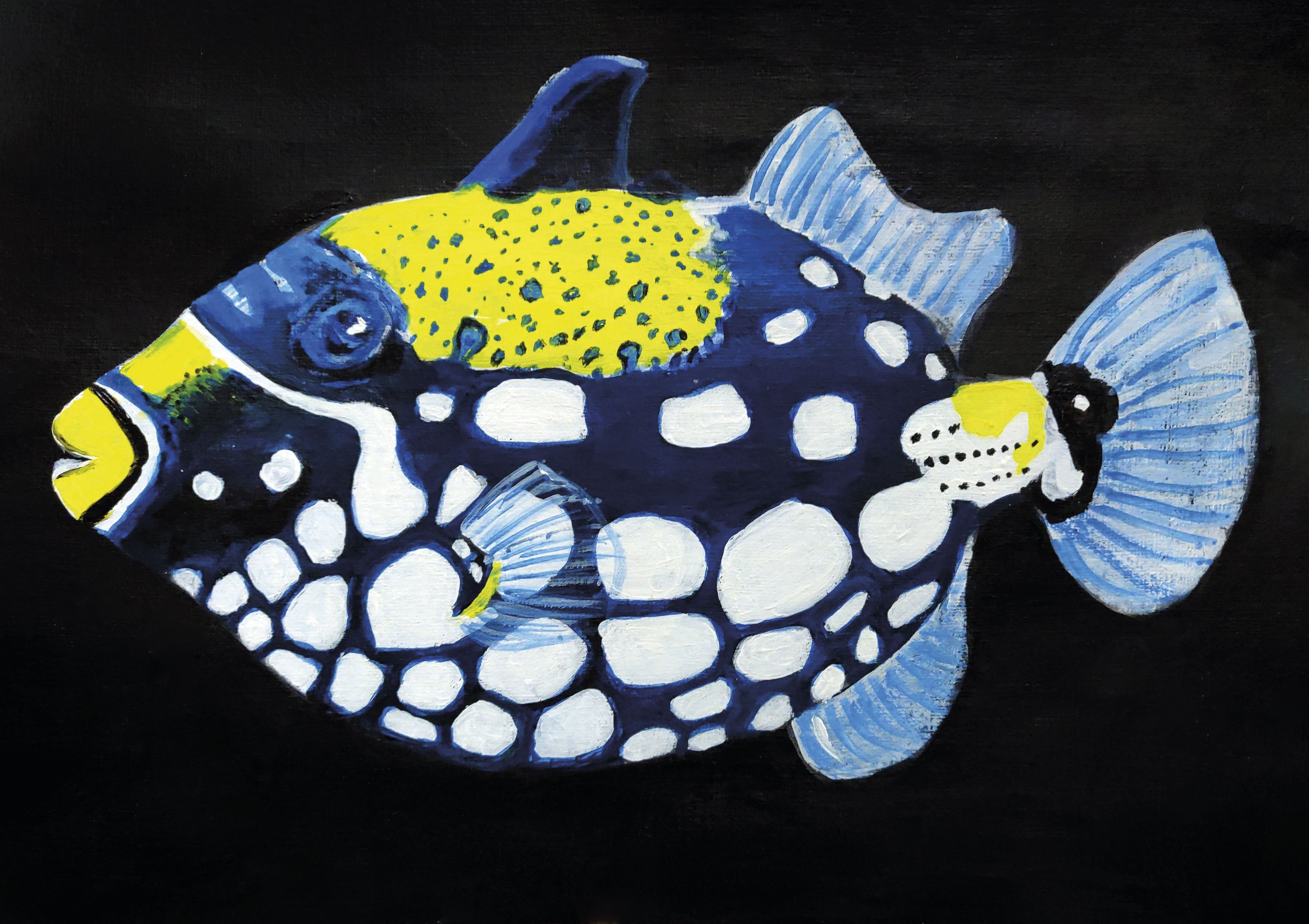 SHOP Clown Trigger Fish.jpg