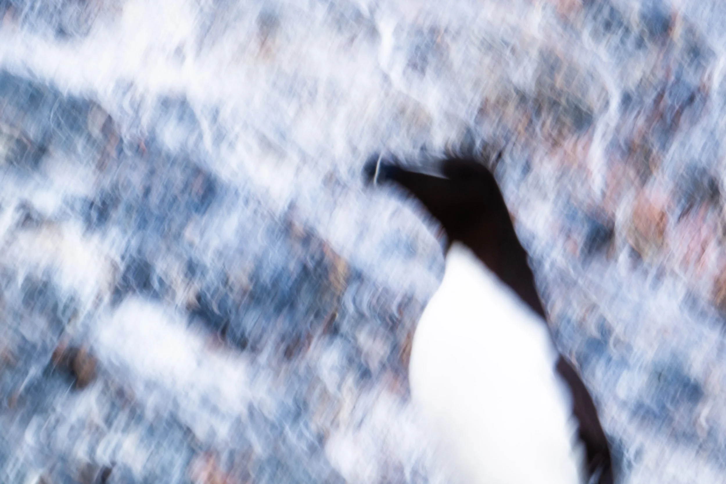 Abstraktes, verschwommenes Bild mit blauen, weißen und dunklen Farben.