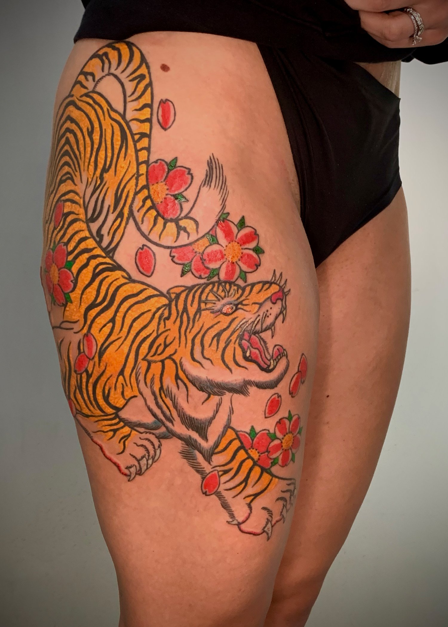 Tiger & Cherry Blossom Japanese Tattoo — Thigh, Fort Lauderdale | A tiger with cherry blossoms tattooed on the thigh. Outline by machine; shading and color by hand using tebori. Healed.