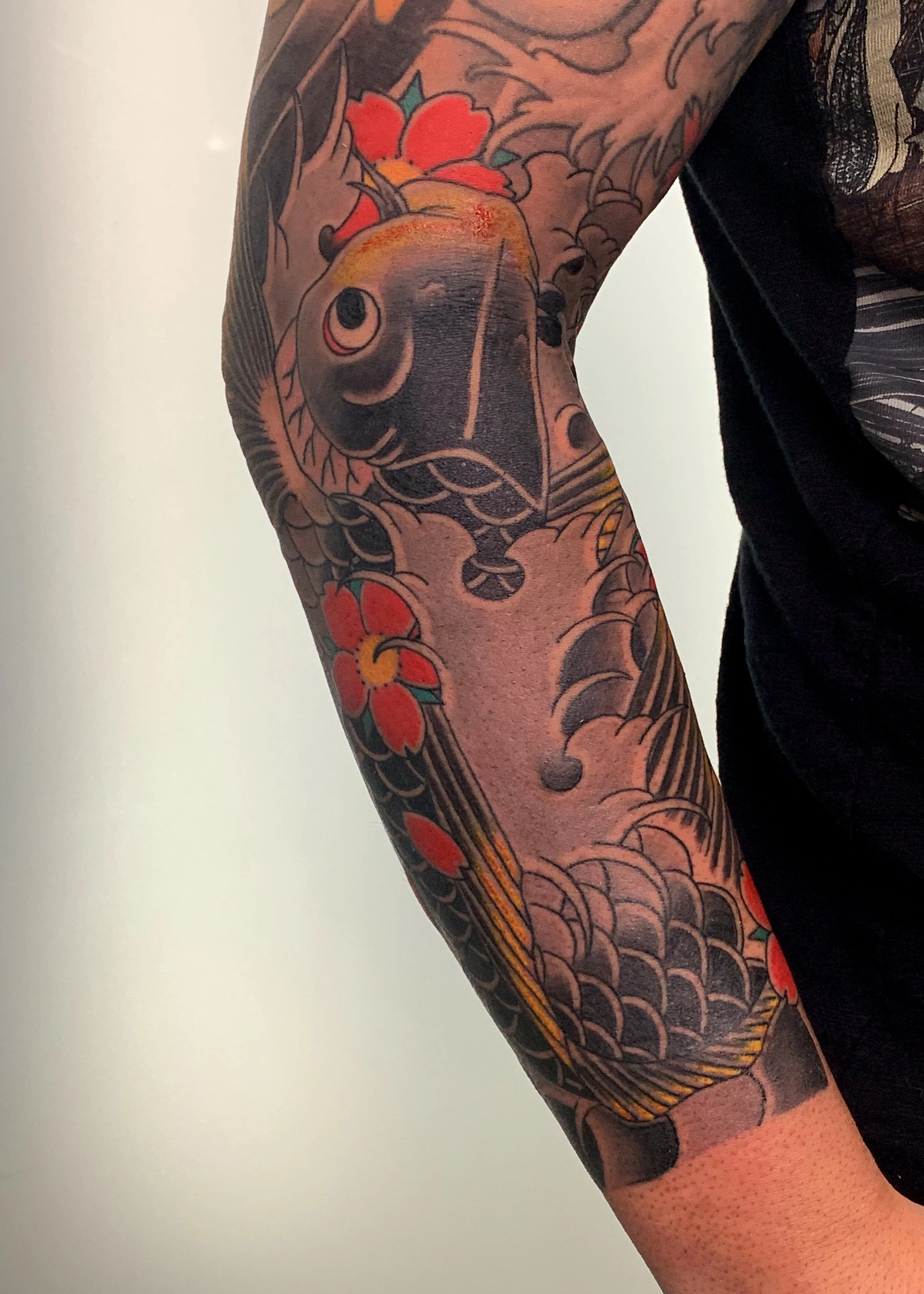 Koi & Cherry Blossom Japanese Tattoo — Forearm, Fort Lauderdale | A koi with cherry blossoms tattooed on the forearm. Entirely machine work. Healed.