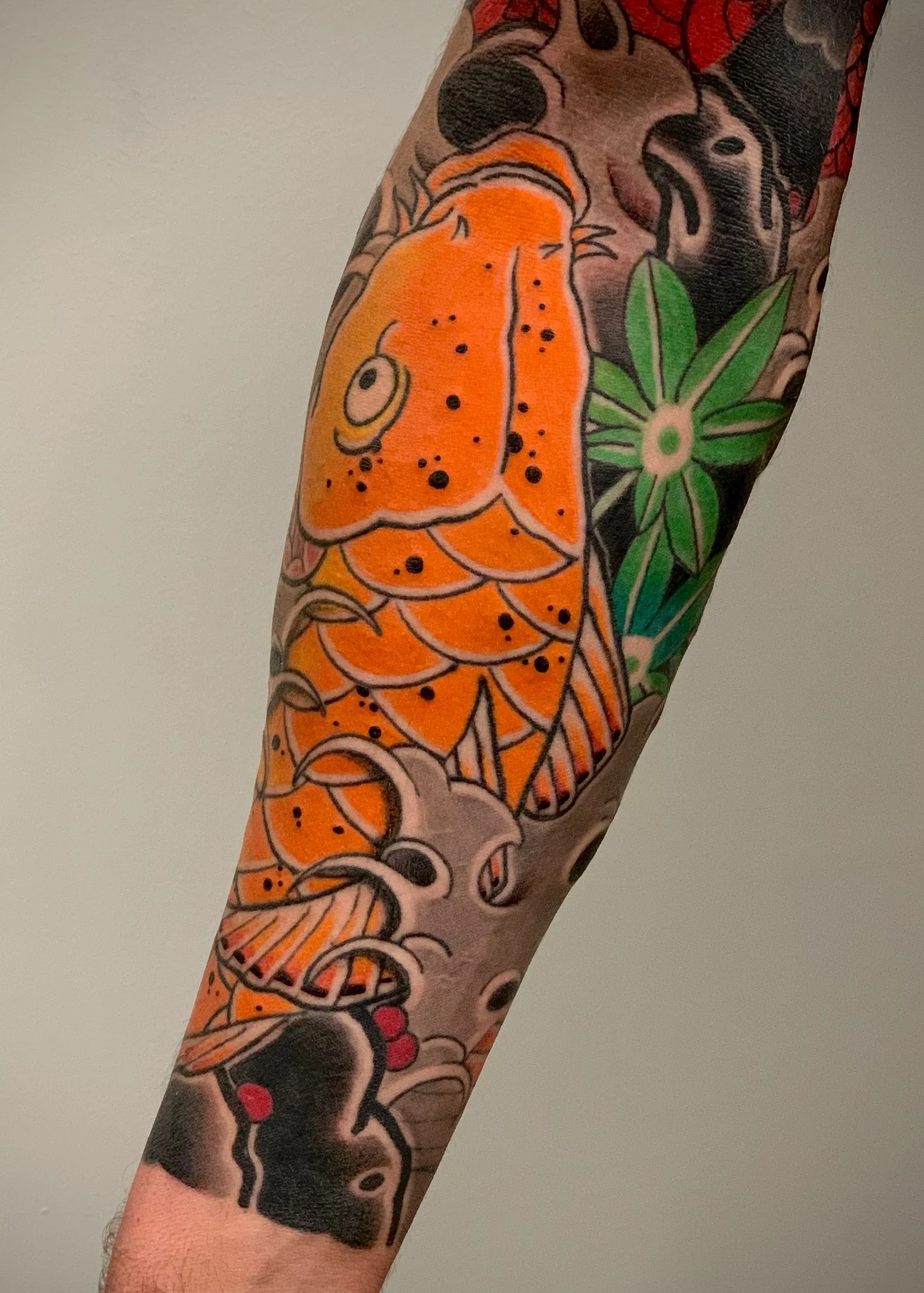 Koi & Maple Leaf Japanese Tattoo — Forearm, Fort Lauderdale | A koi with maple leaves tattooed on the forearm. Entirely machine work. Healed.