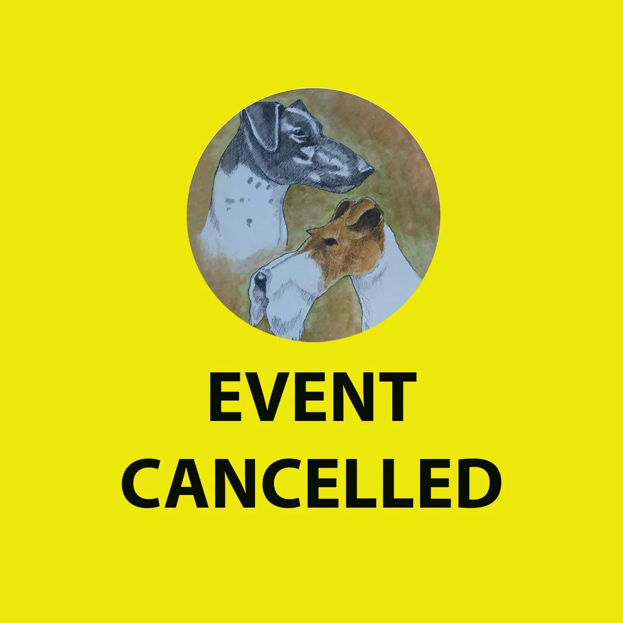 2026 National Fox Terrier Meet Cancelled