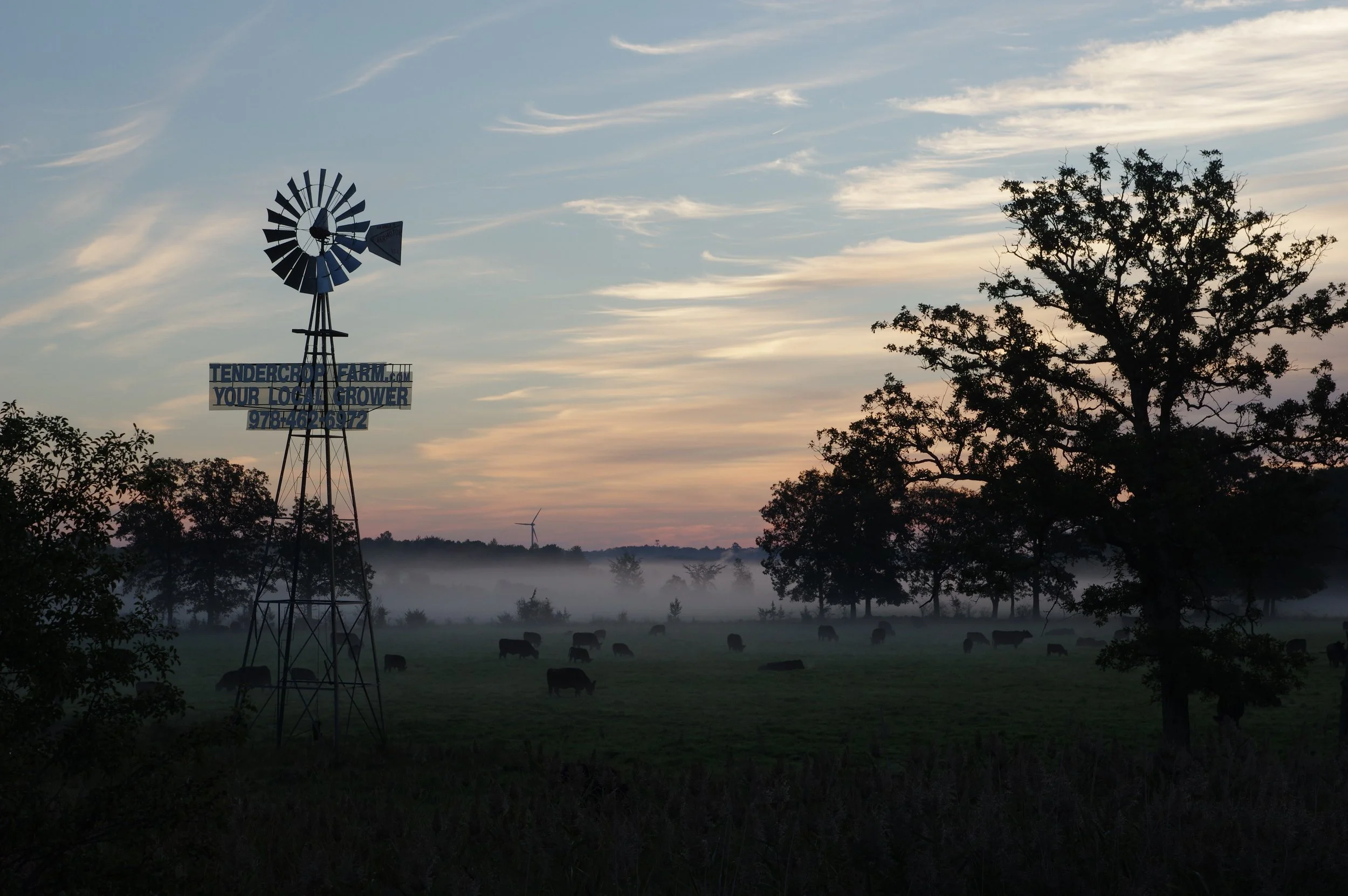 Tendercrop Farm 2.jpeg