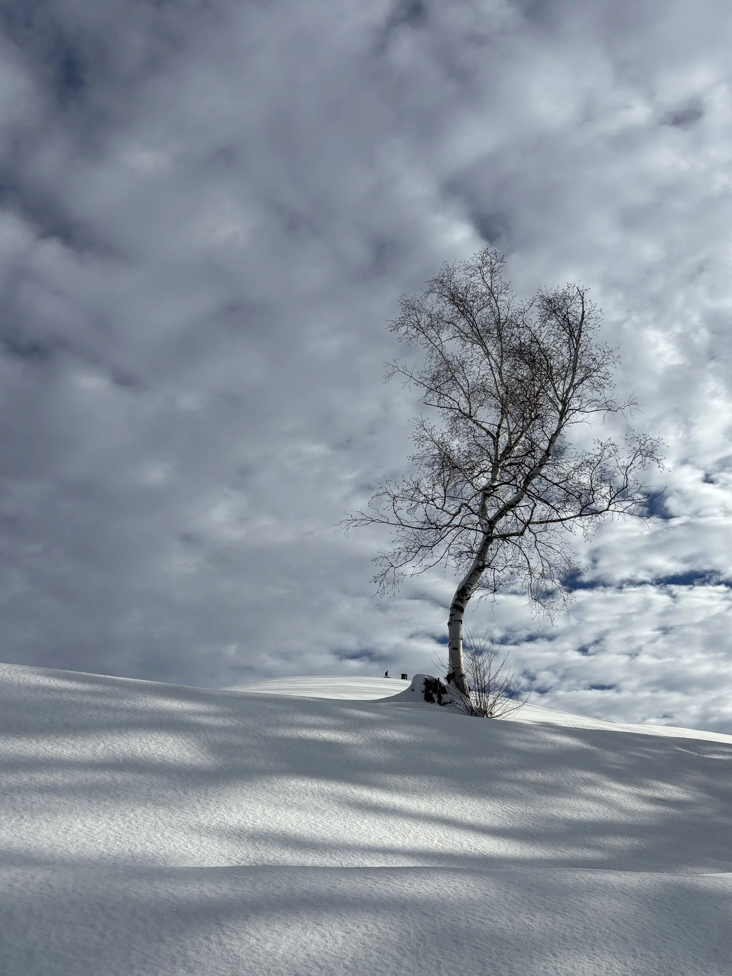First Snow.jpg
