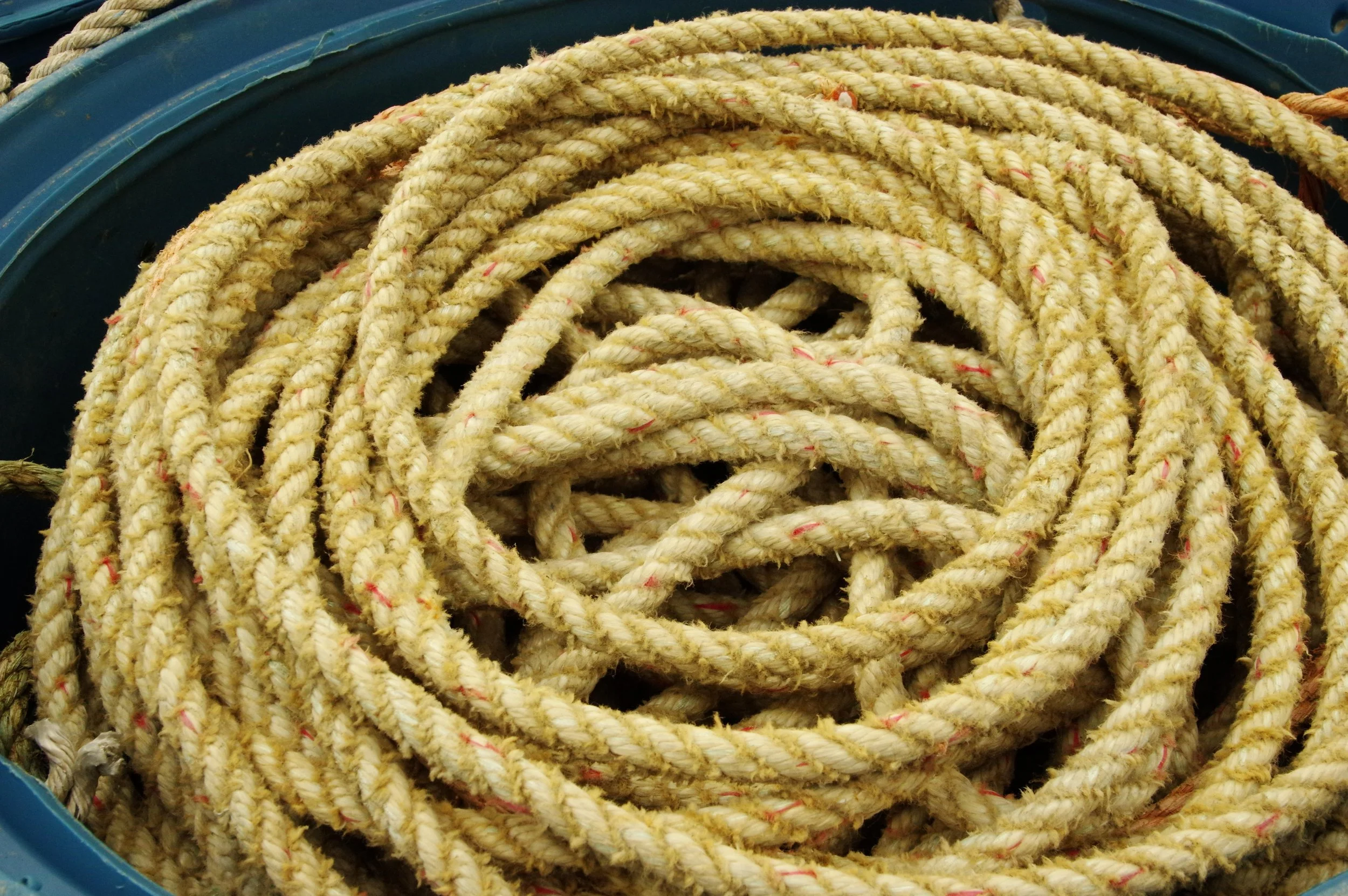 Lyrical Ropes in Barrell .jpeg