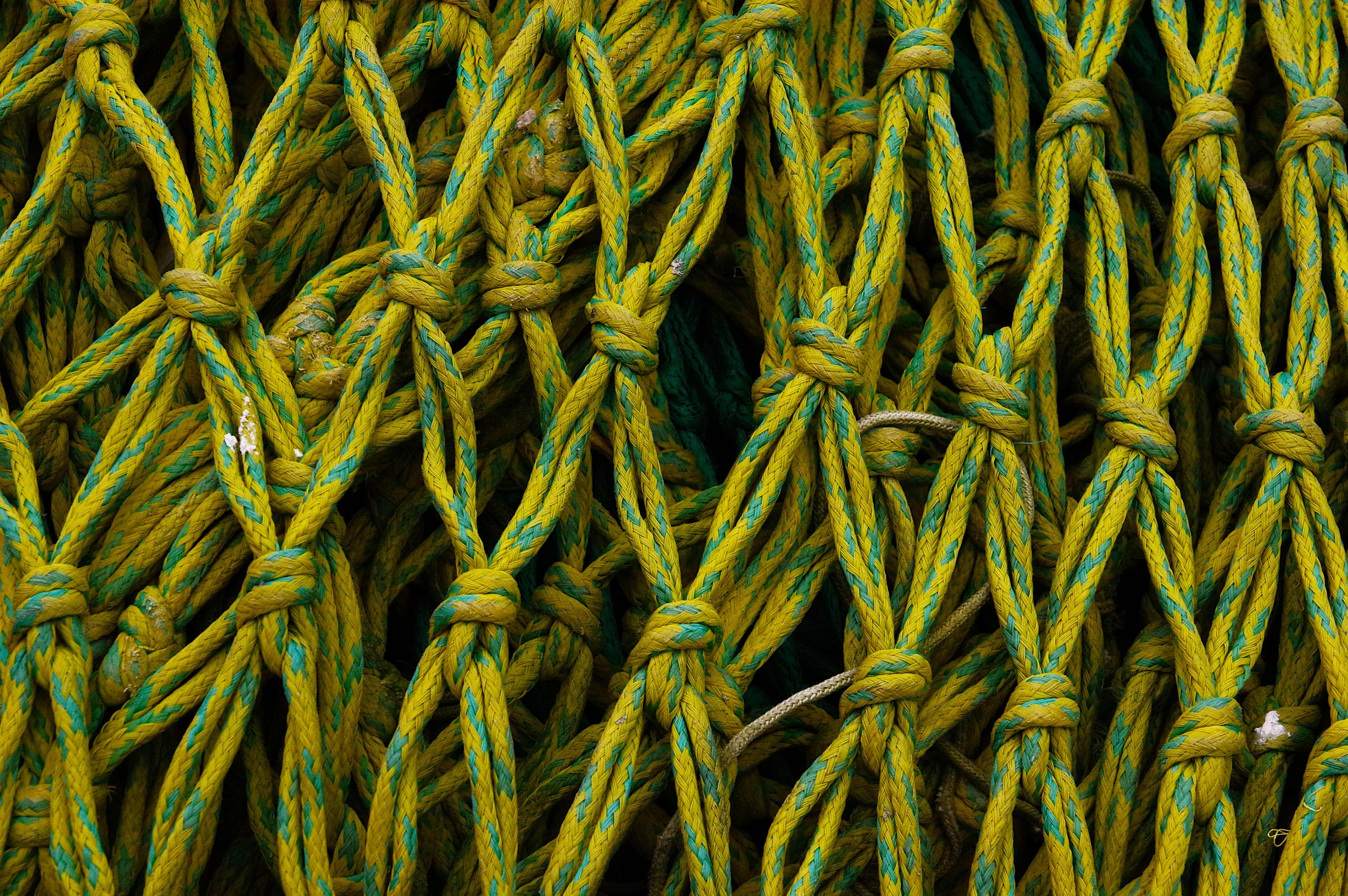 Yellow knots.jpg