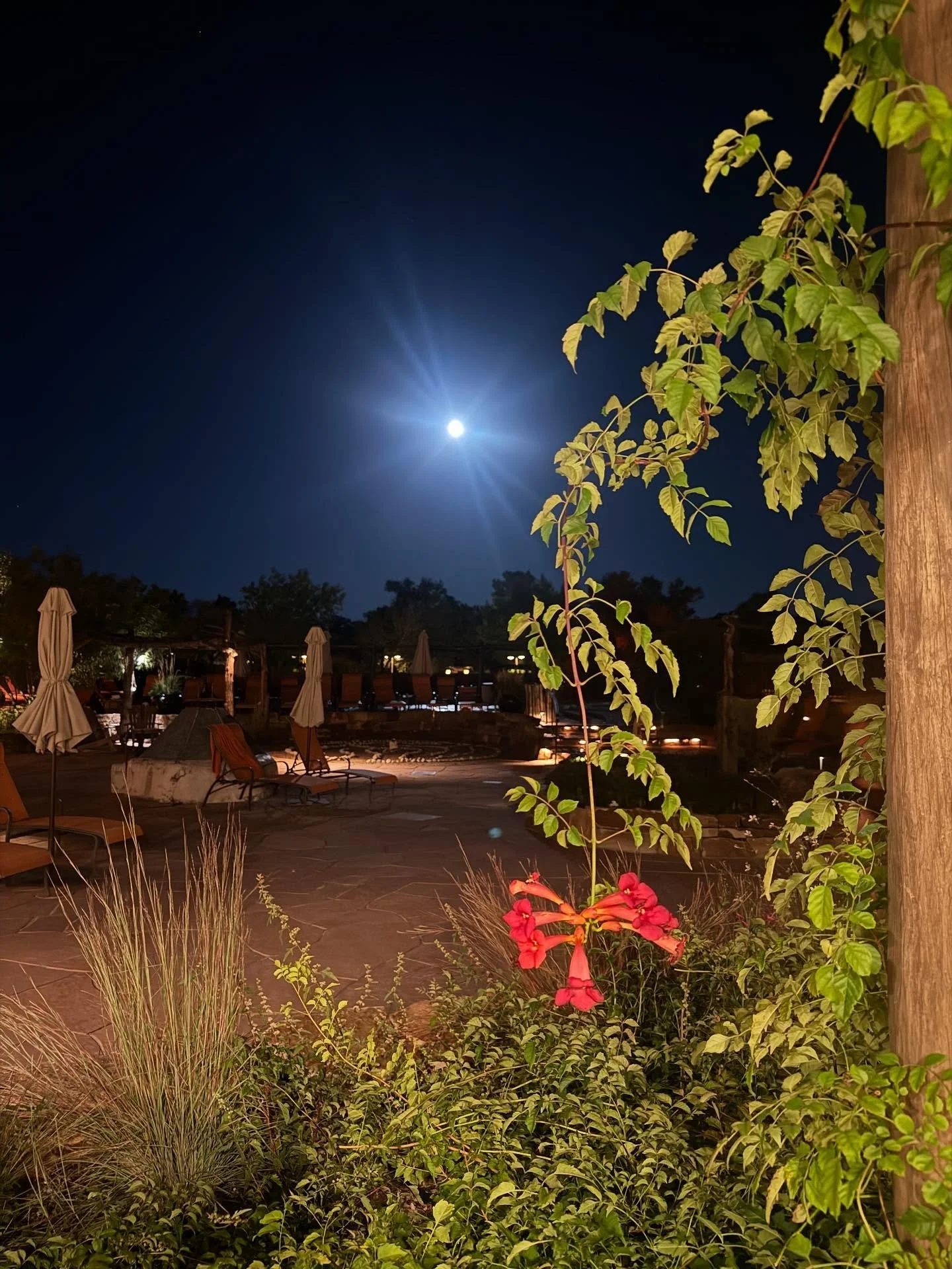 Visions of the Aries full moon, moon gazing from the sacred hot mineral waters of Ojo caliente, fire in the kiva and abundant aroma of pi&ntilde;on