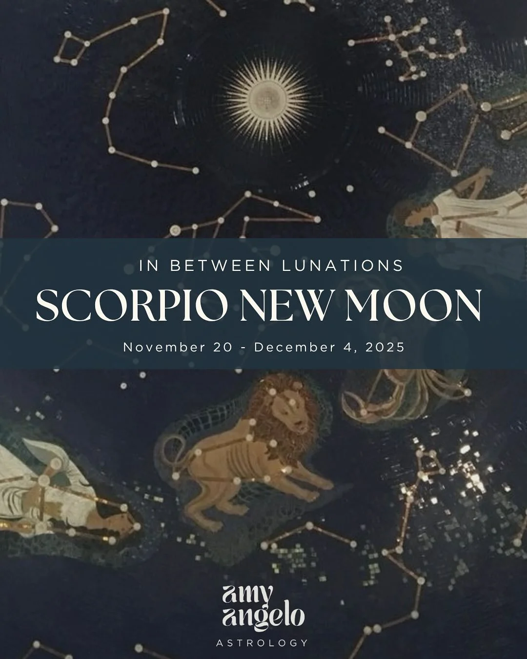 🌑♏️ Scorpio new moon: inviting in change because this lunation relentlessly demands it. Swipe to see what&rsquo;s in store this lunation cycle &gt;&gt;&gt;

The Scorpio New Moon, usually secretive and contained, carries a boundless, unruly charge. R