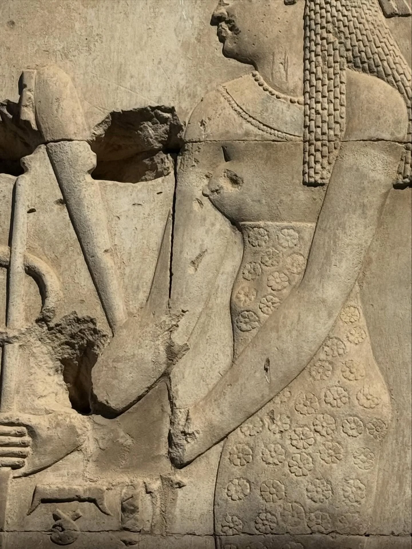 Meet Seshat, ancient Kemetic scribal goddess of writing and sacred knowledge, shown wearing a leopold pelt with a seven pointed star emblem on her crown. 

She upholds the written word and copies texts. A record keeper, she preserves memory. She&rsqu