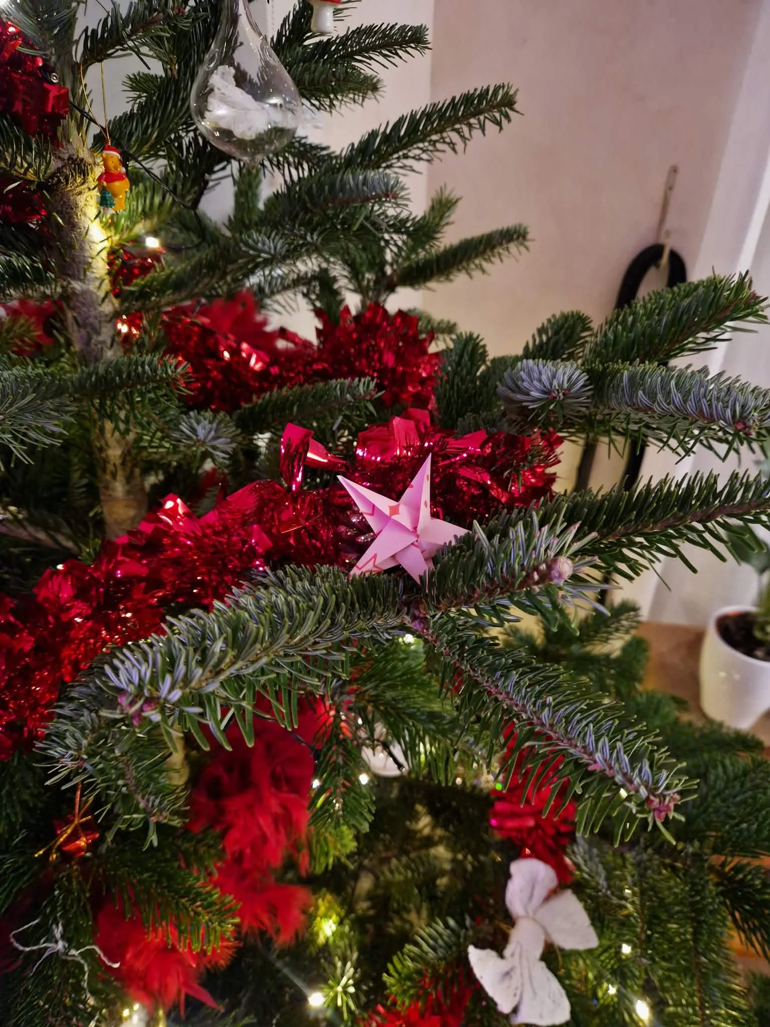 15a95b79-bc04-4d83-8f56-6a2d2d5bf5a1.jfif