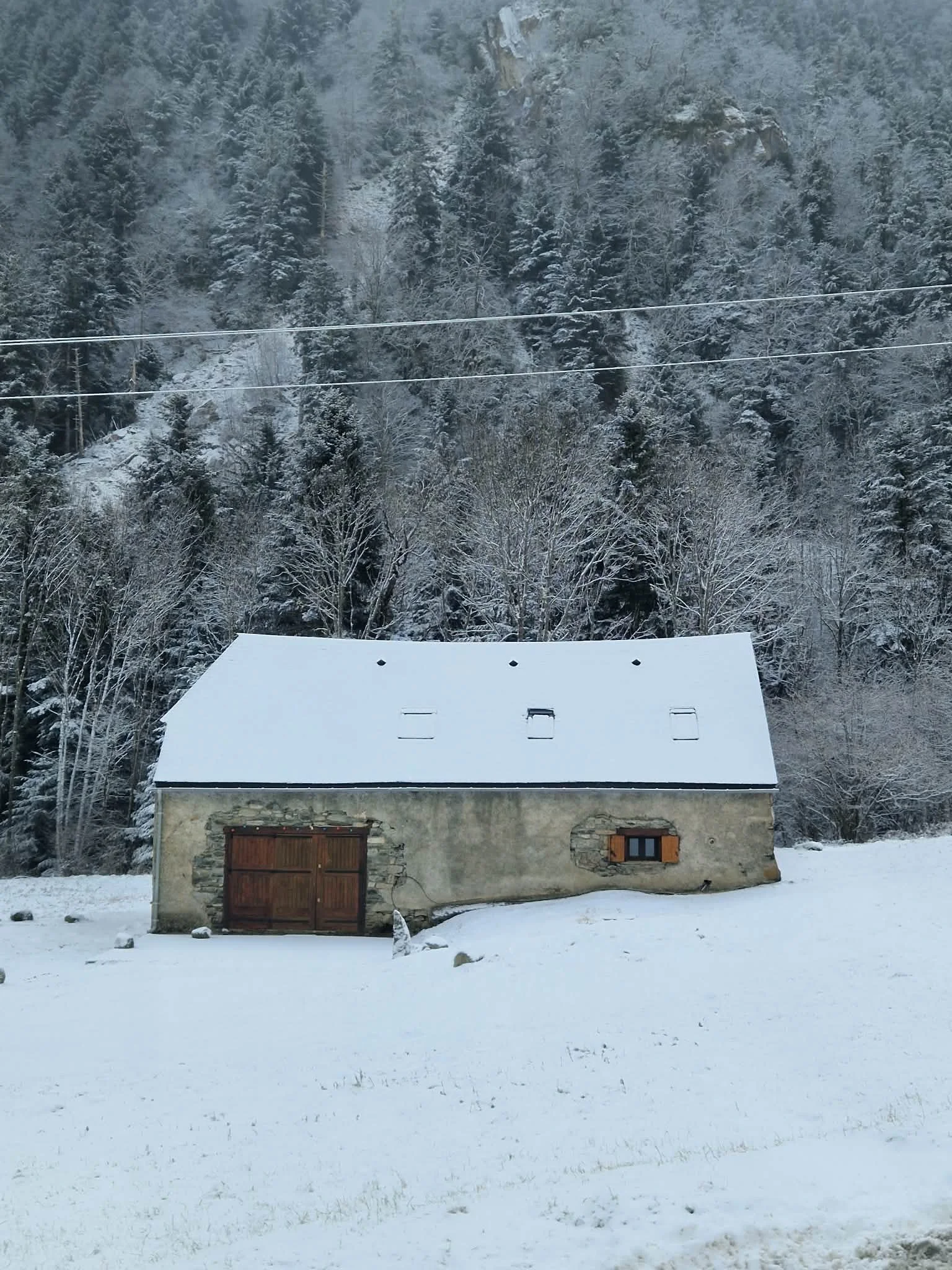 d72aef2f-f851-401b-8006-b94f3ea25495.jfif