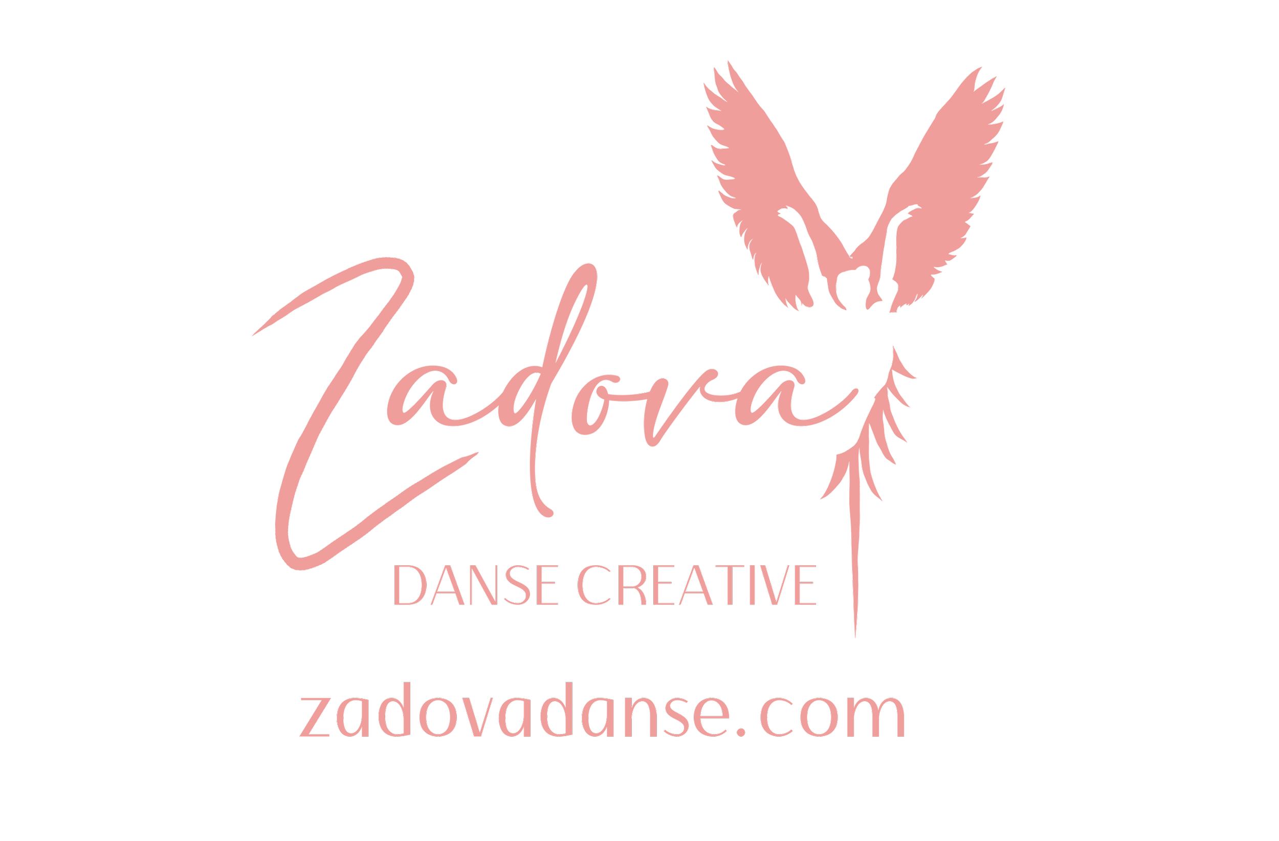 ZADOVA TSHIRTS - DOS INFOS1.png