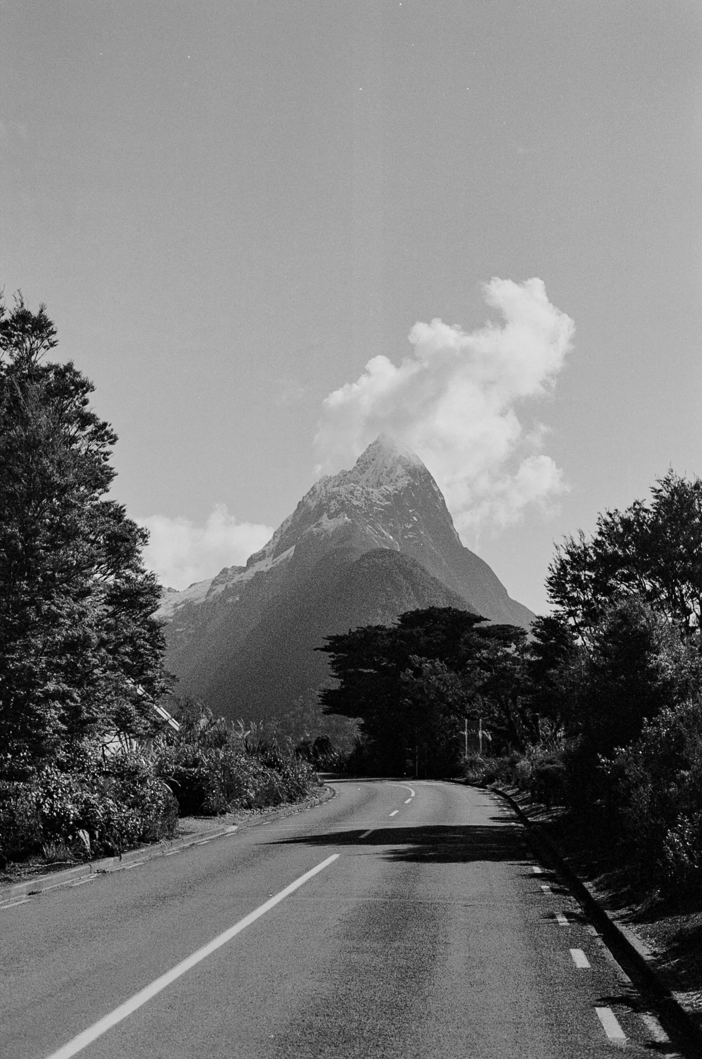 Black and white photo of a winding road leading toward a mountain with a cloud above the peak, surrounded by trees.