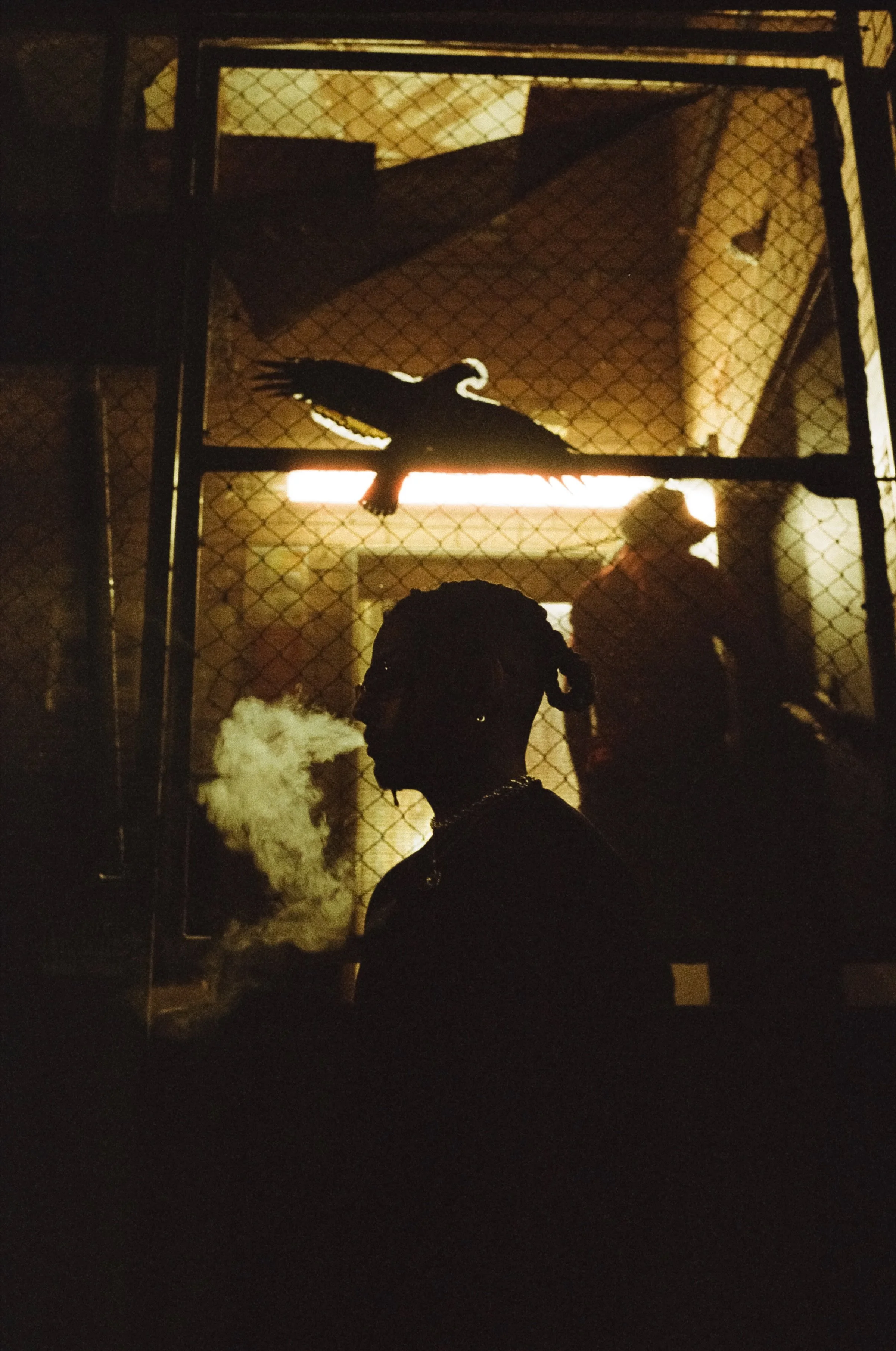 A person with braided hair in a choker necklace is standing in front of a chain-link fence with steam or smoke near their face at night. There is a silhouetted dragon or dinosaur figure on top of the fence, and a dog or similar animal sitting on the 