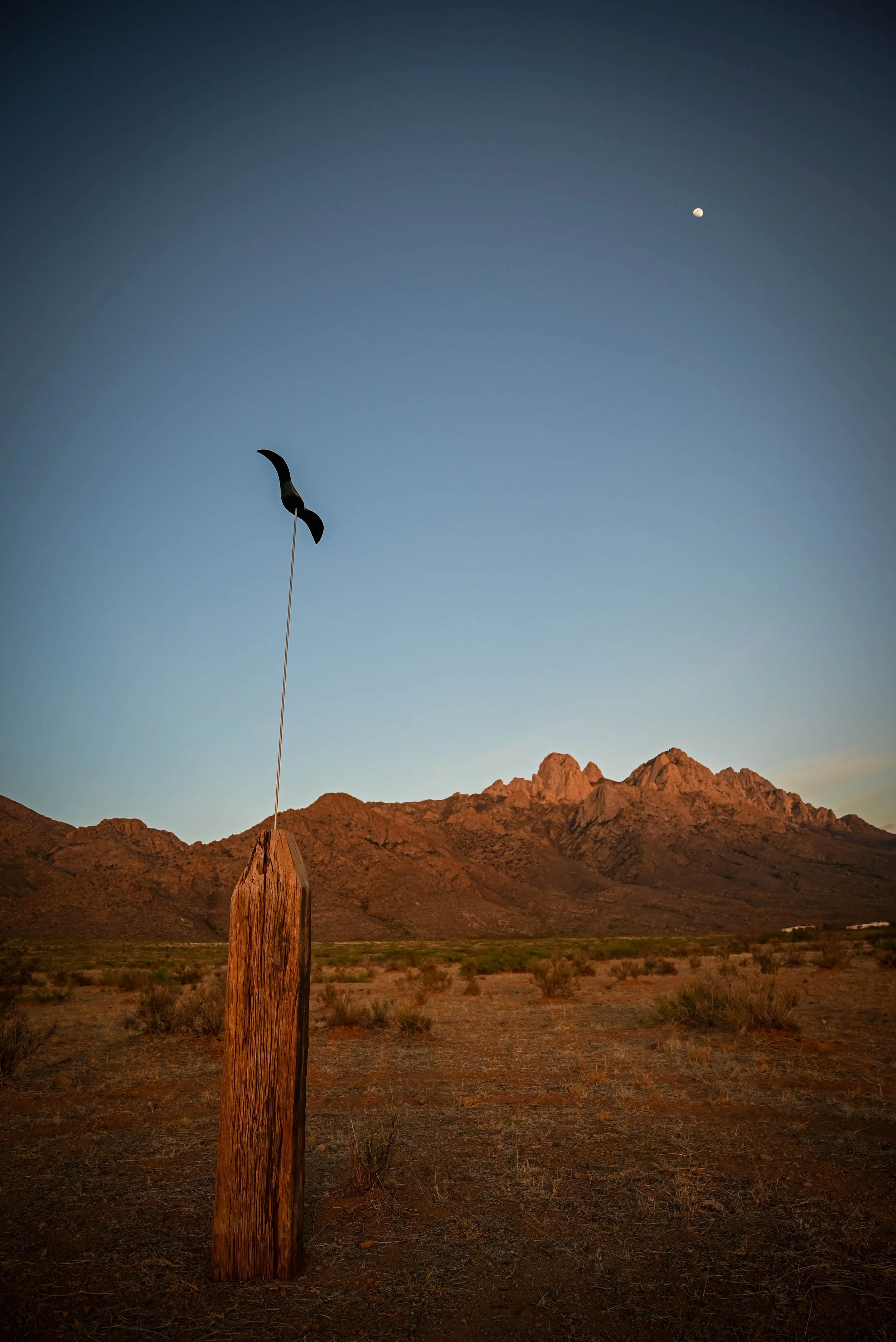 Bird (Flying)
2023
Wood, Enamel, Steel, Railroad Tie
12" x 84" x 8" (30.5 x 213 x 20 cm)