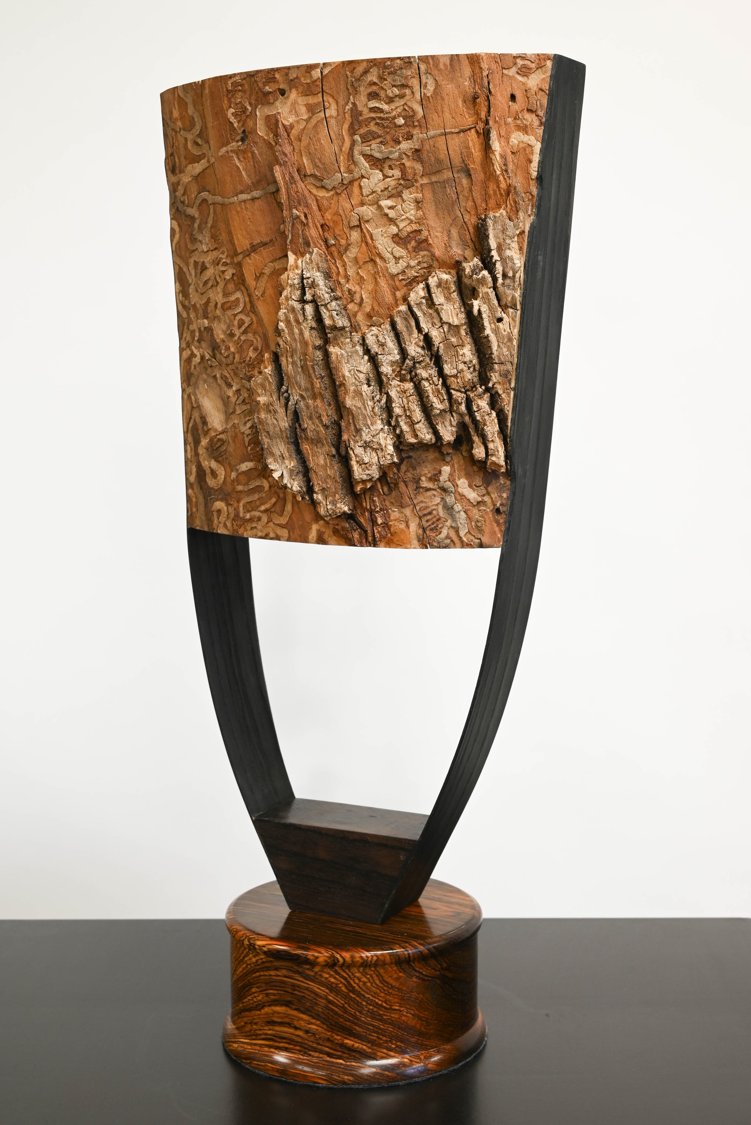 I Don't Know Her Name
2025
Ash, Ziricote, Cocobolo
20" x 9" x 5" (50 x 23 x 12.5 cm)