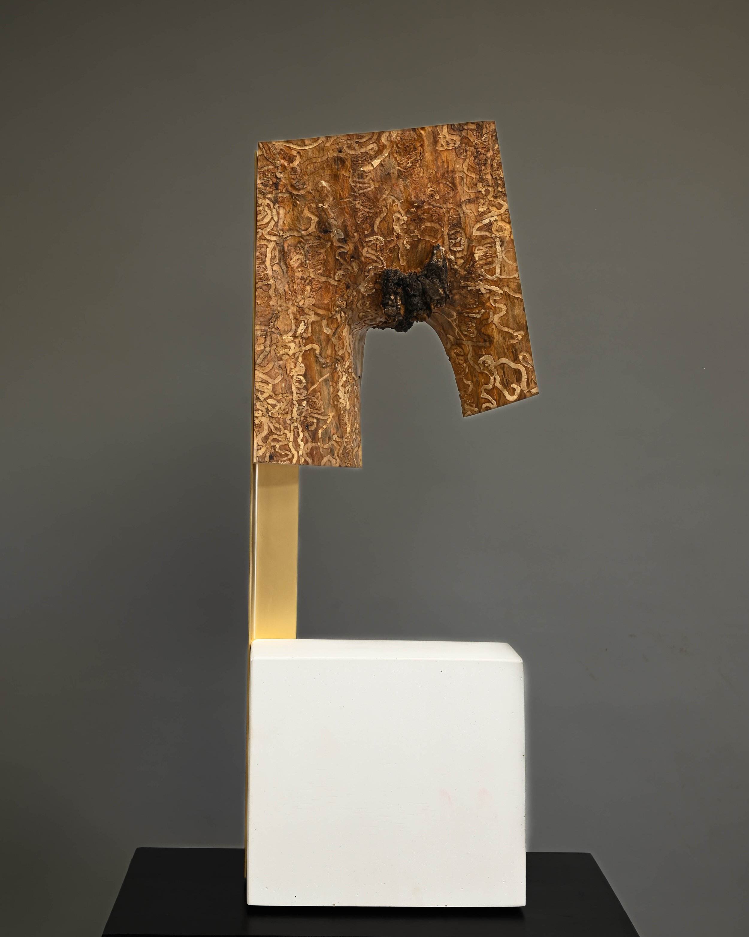 Fragment (For Now)
2025
Ash, Steel, Plaster, Enamel
30" x 12" x 6" (76 x 30.5 x 15 cm)