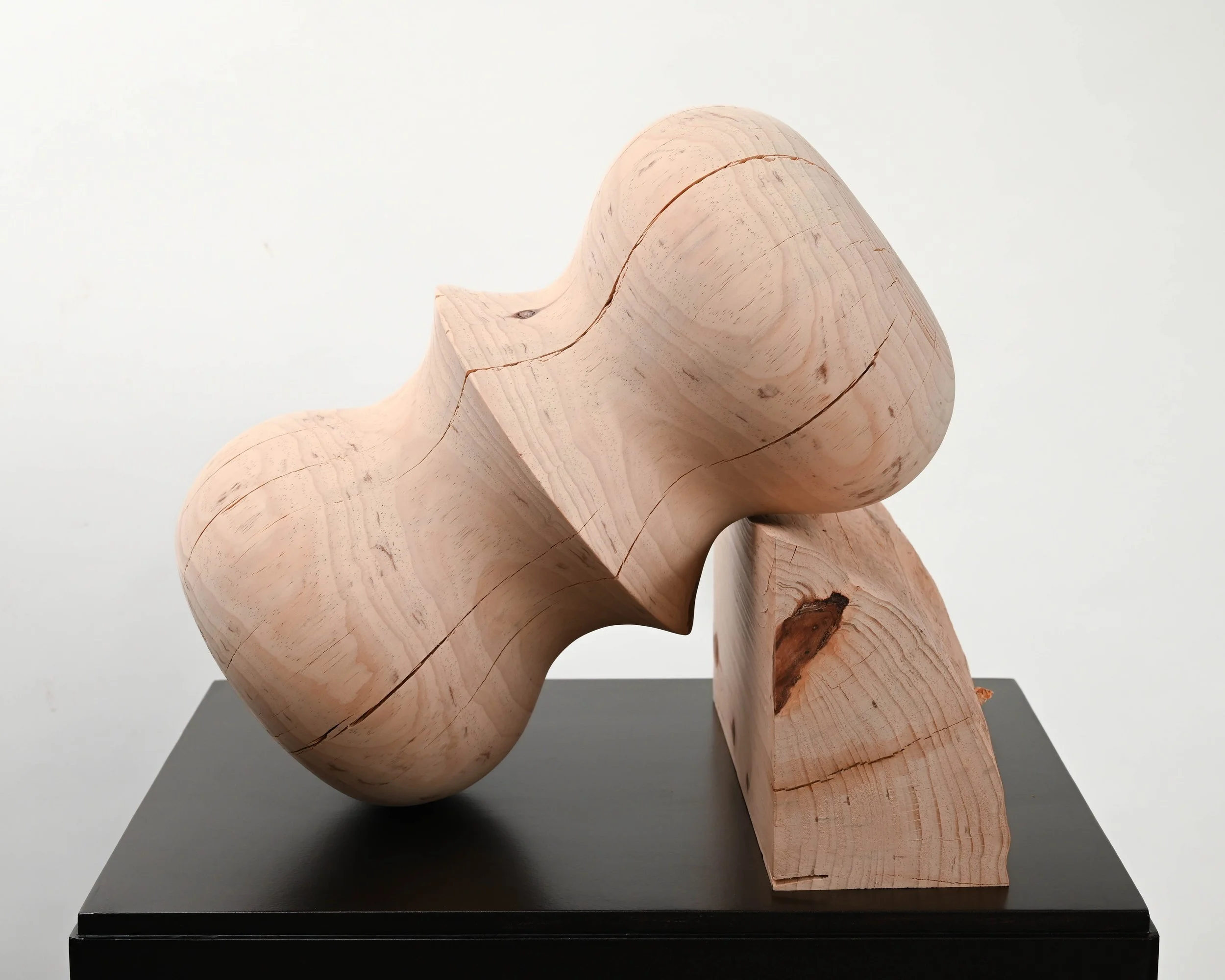 The True Shape Of The World
2023
Ponderosa Pine
17.25" x 14.5" x 12.75" (44 x 37 x 32 cm)