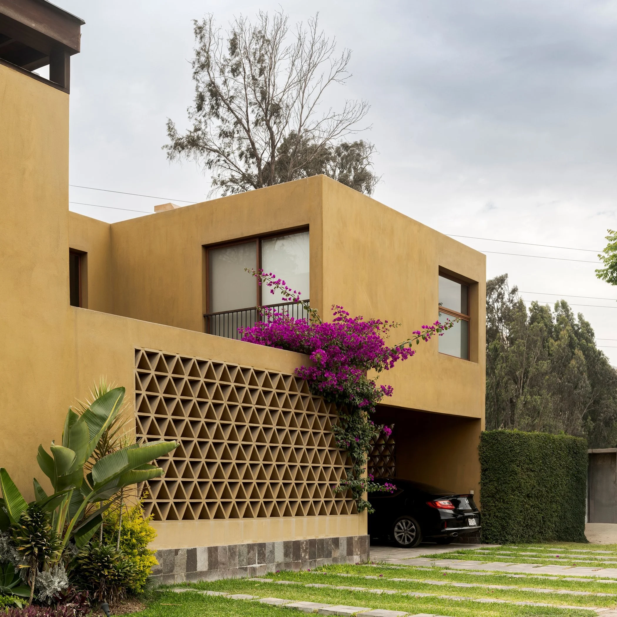 coeneguilla 3 72-2.jpg