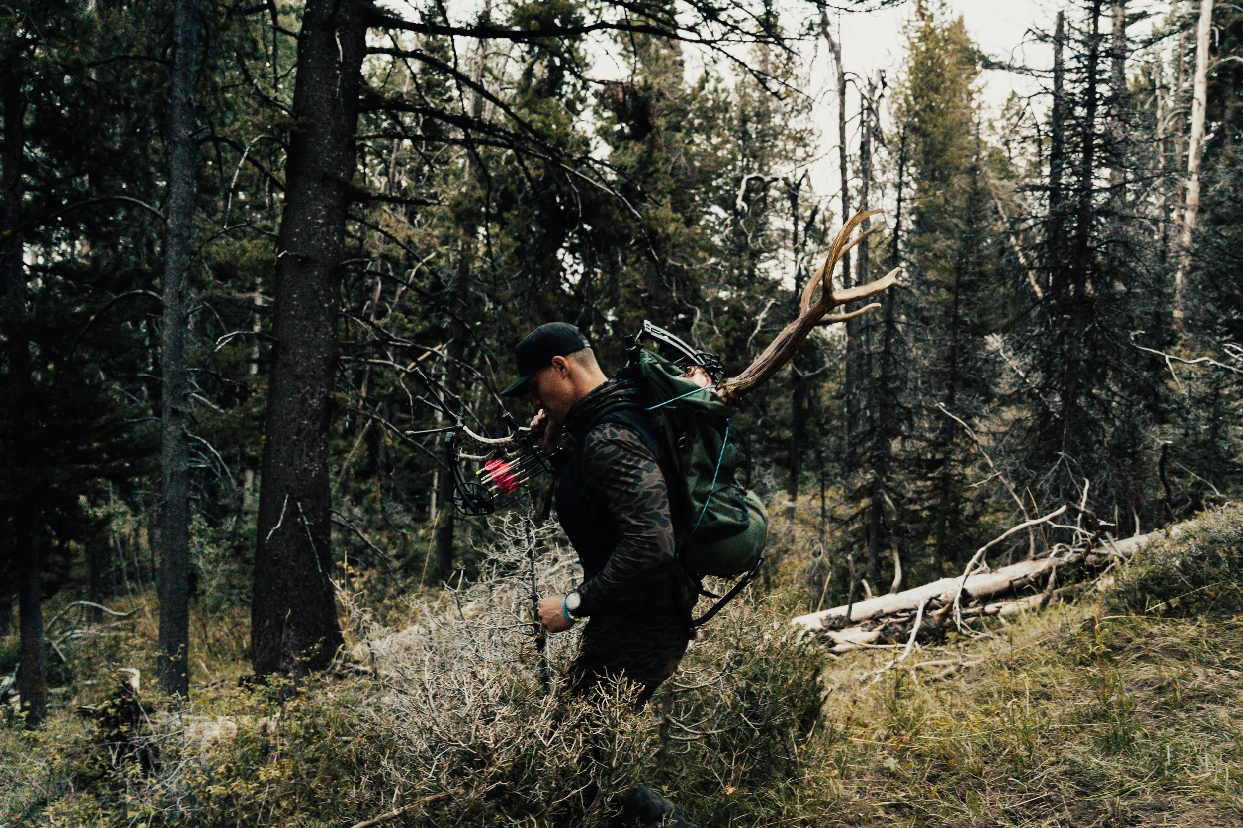 burlebo elk website-64.jpg