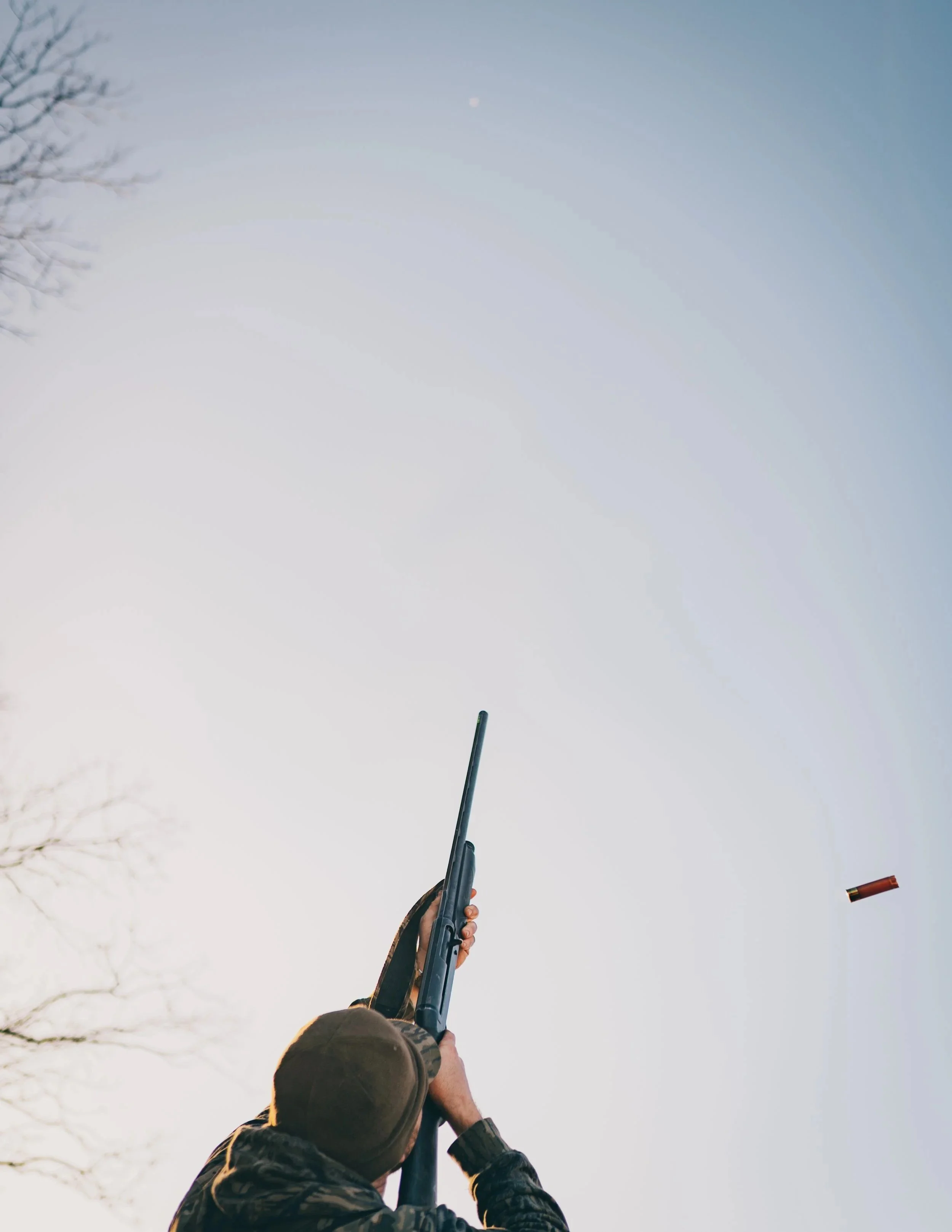 webb+shot-1.jpg