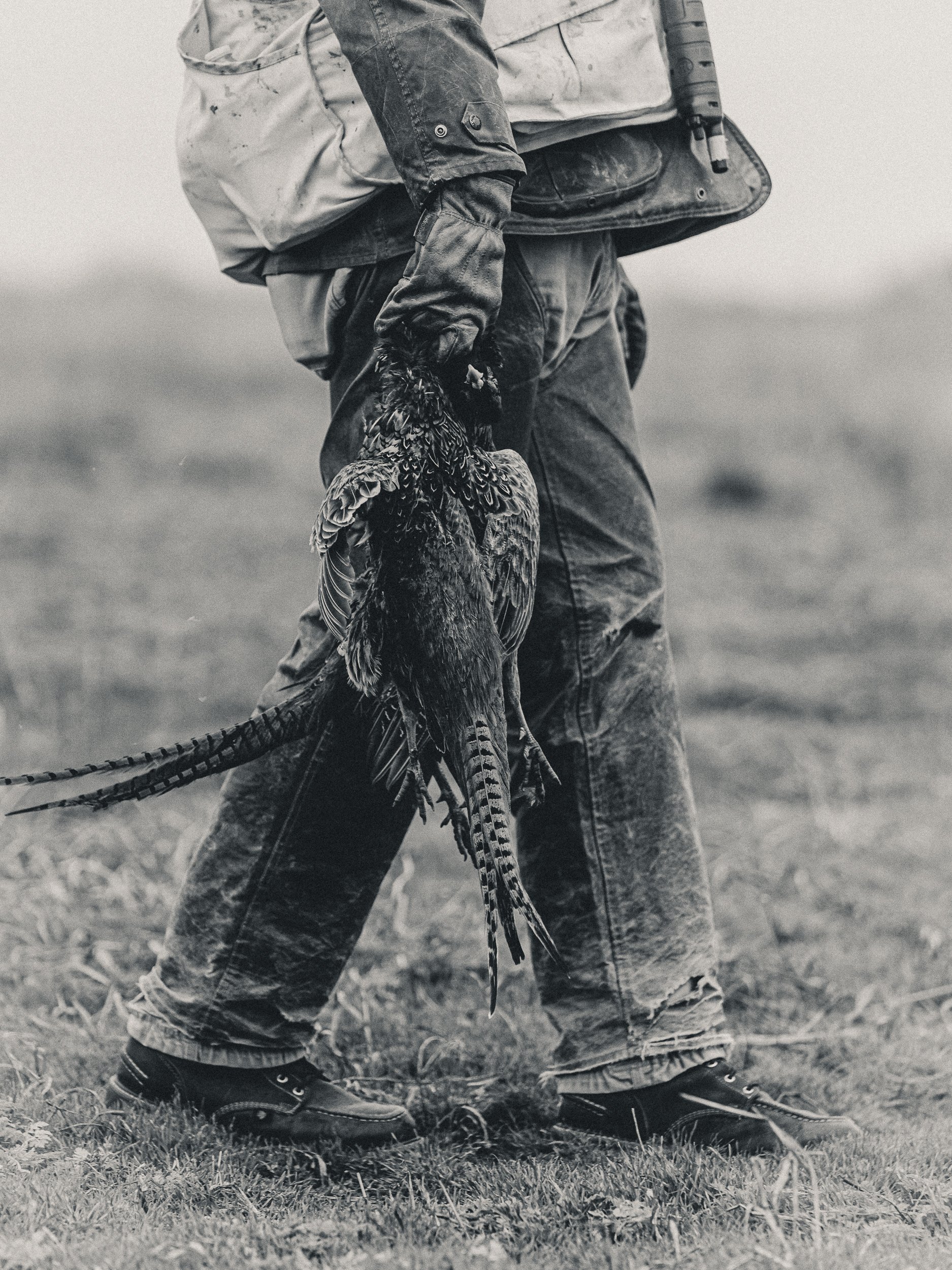 FOWL CO WEBSITE-9.jpg