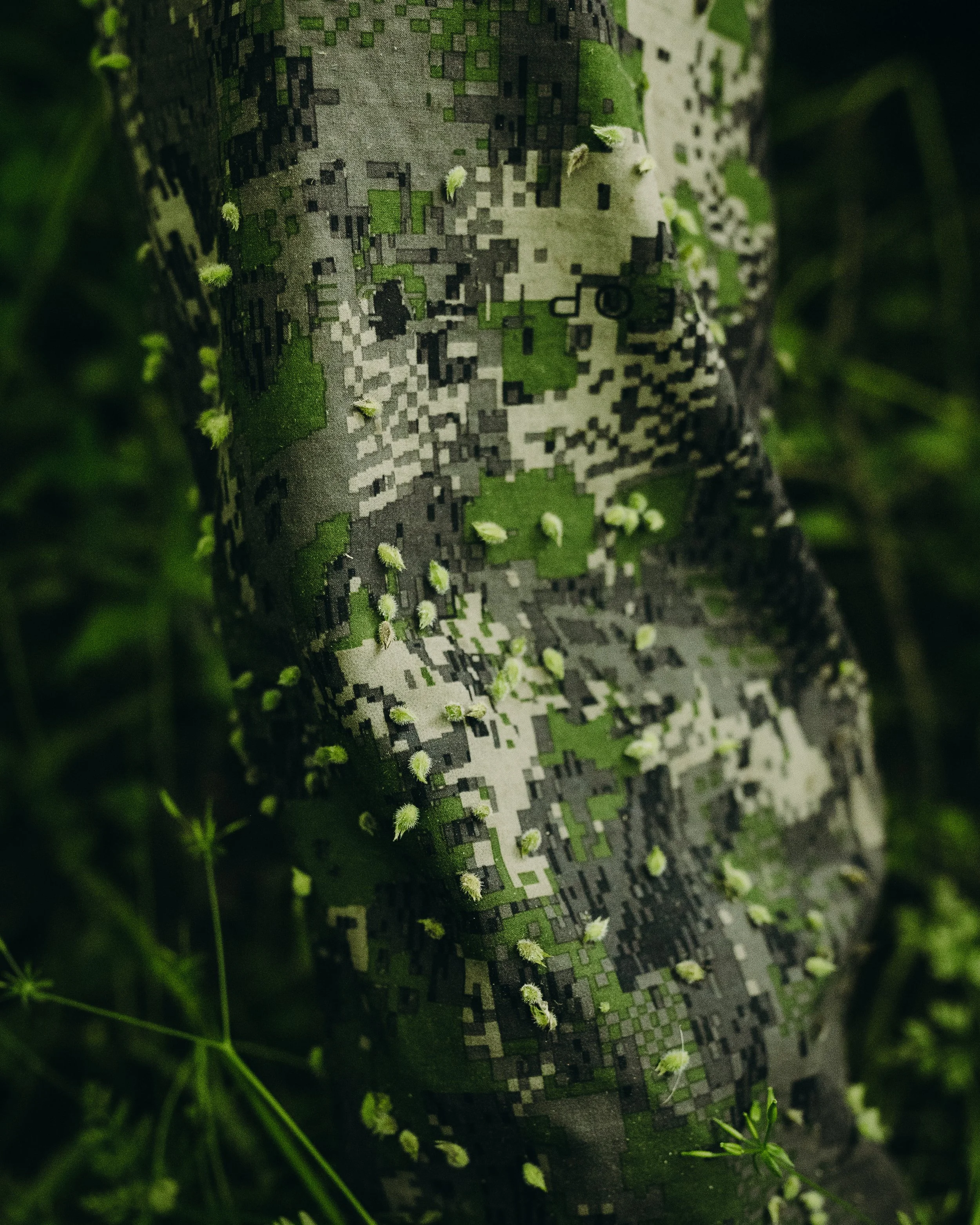 Spring Sitka Cover-28.jpg