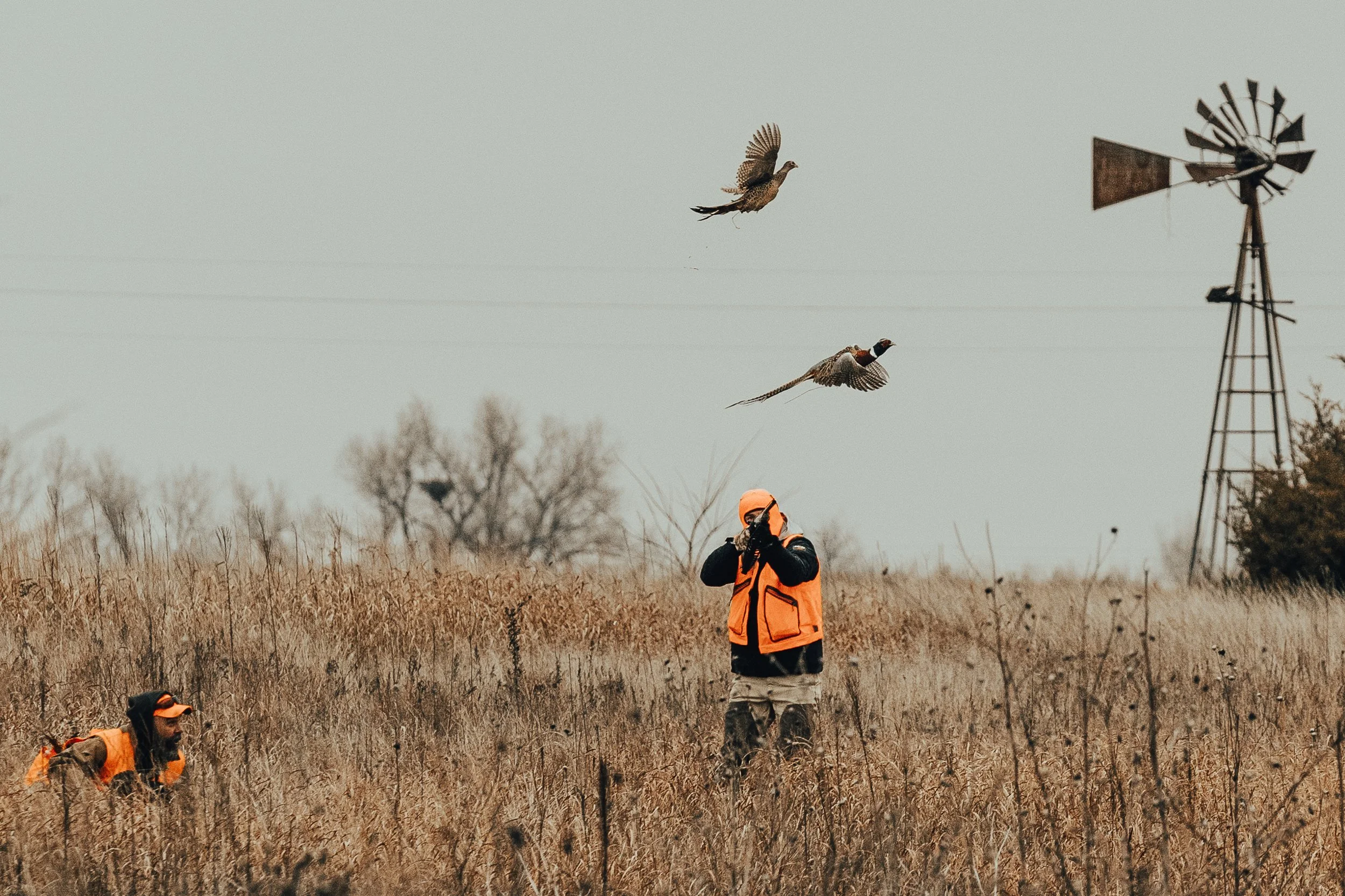 FOWL CO WEBSITE-3.jpg