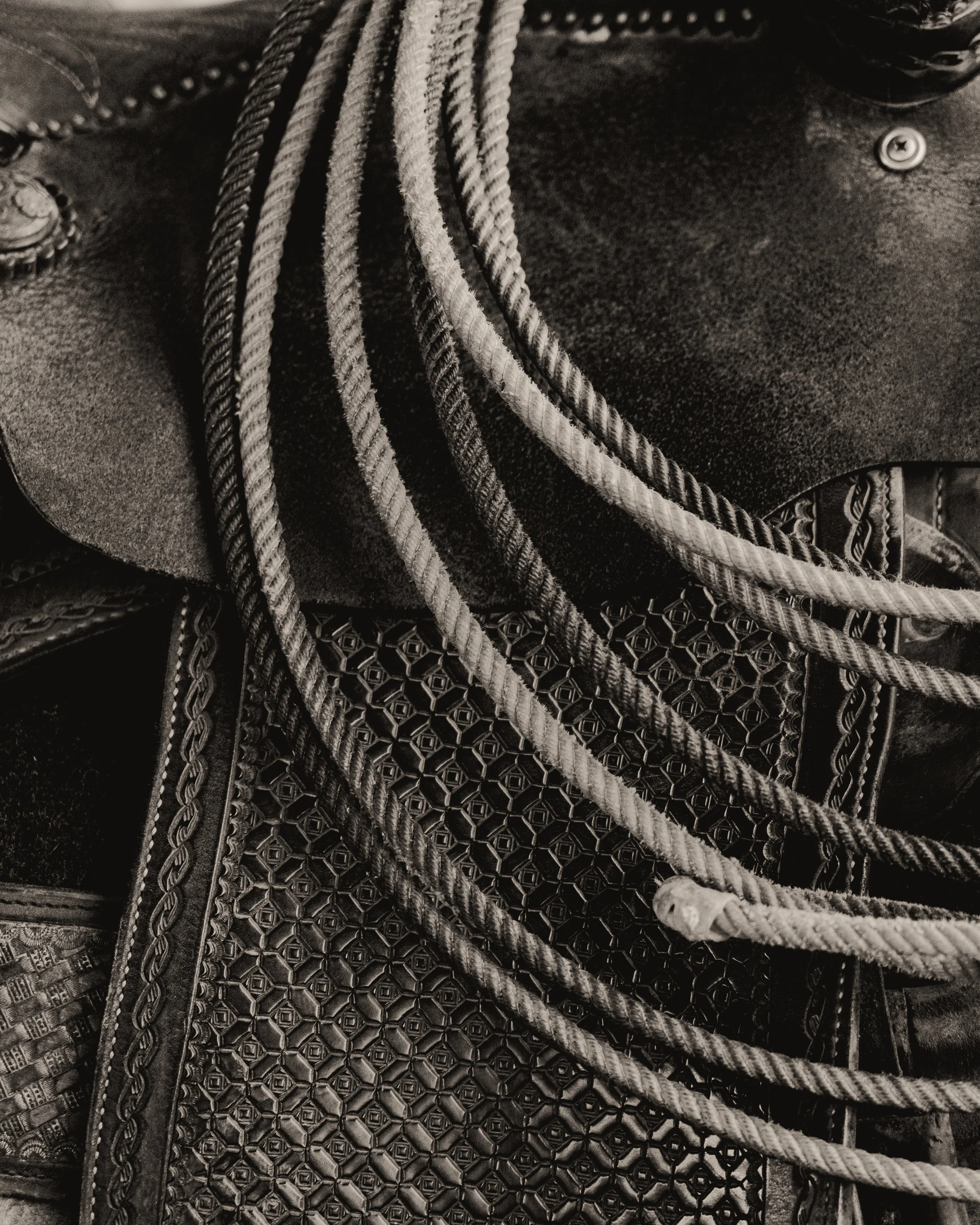 Double B Boot Company May 2025-47.jpg