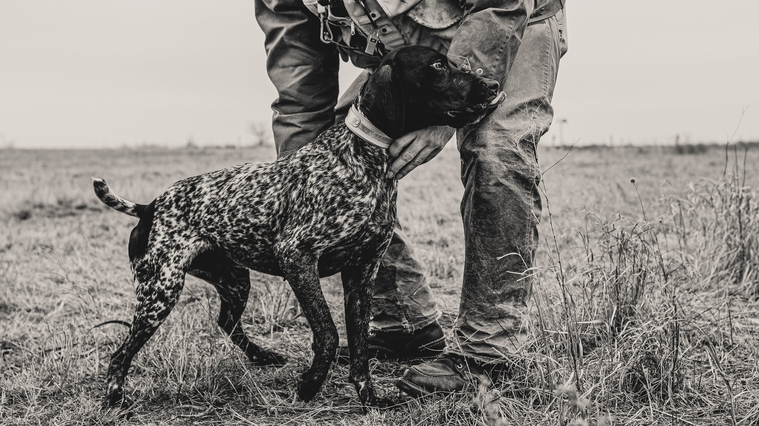 FOWL CO WEBSITE-1.jpg