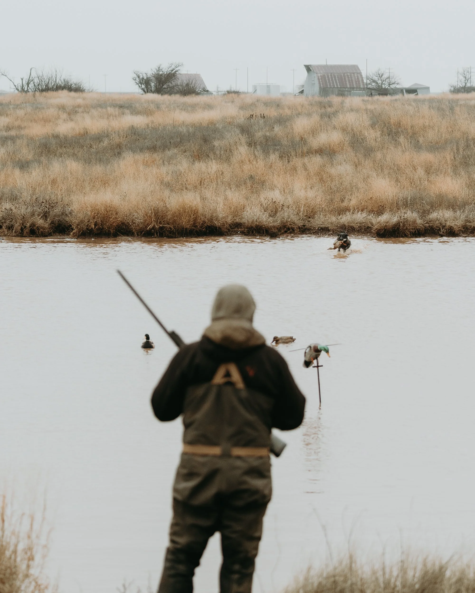FOWL CO WEBSITE-14.jpg