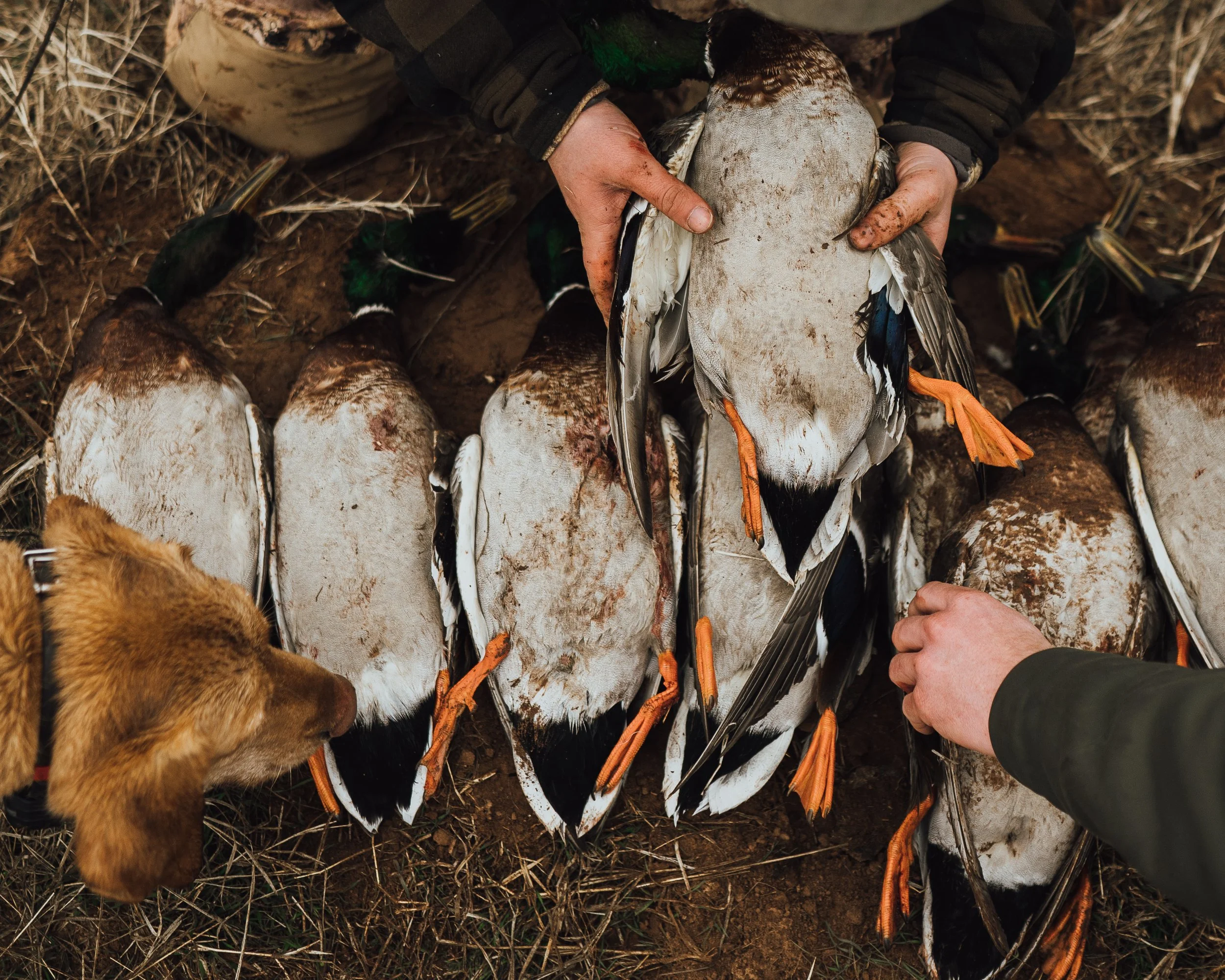 SITKA WEBSITE PICS-6.jpg