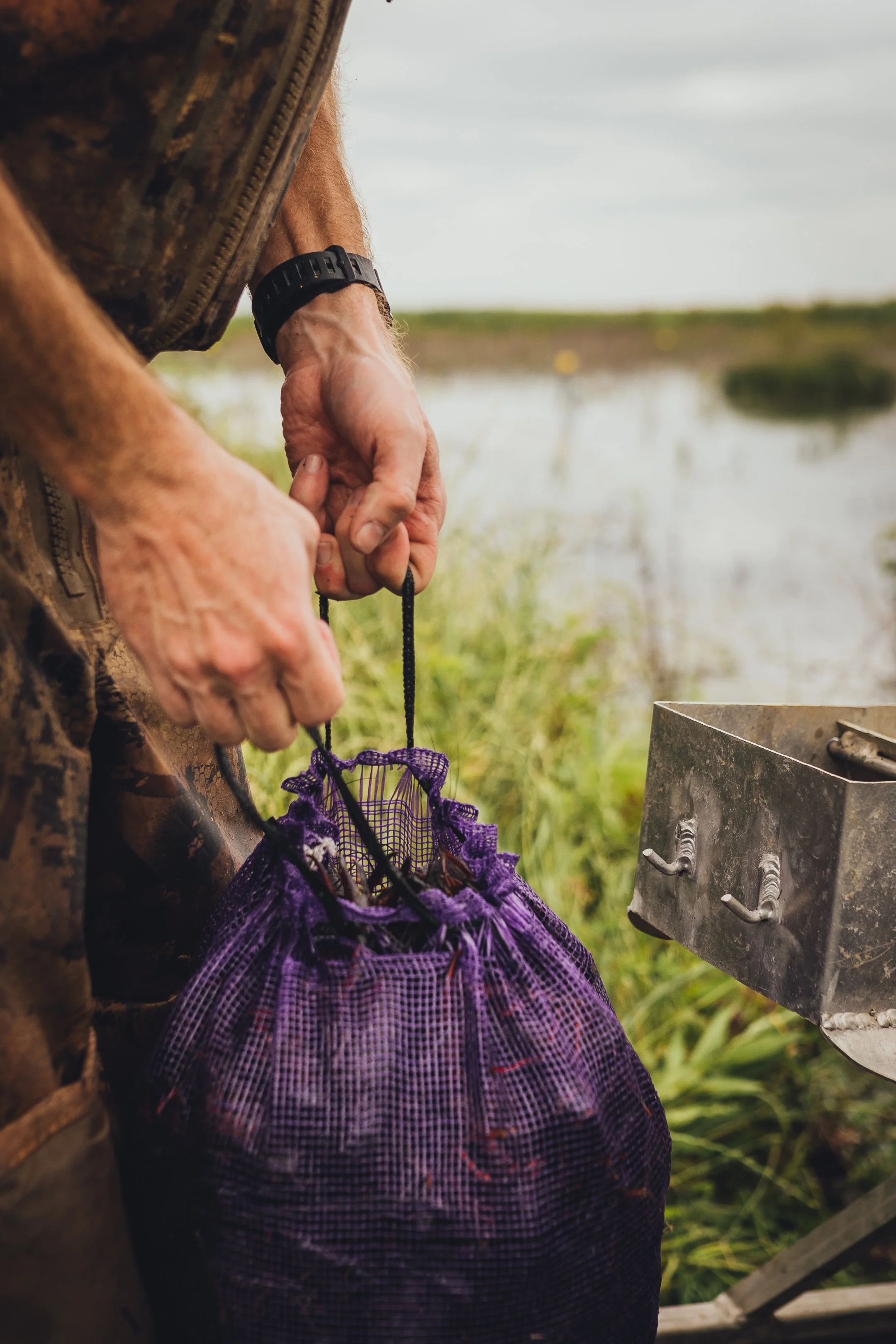 ms crawish 4x5 5 25 23-49.jpg