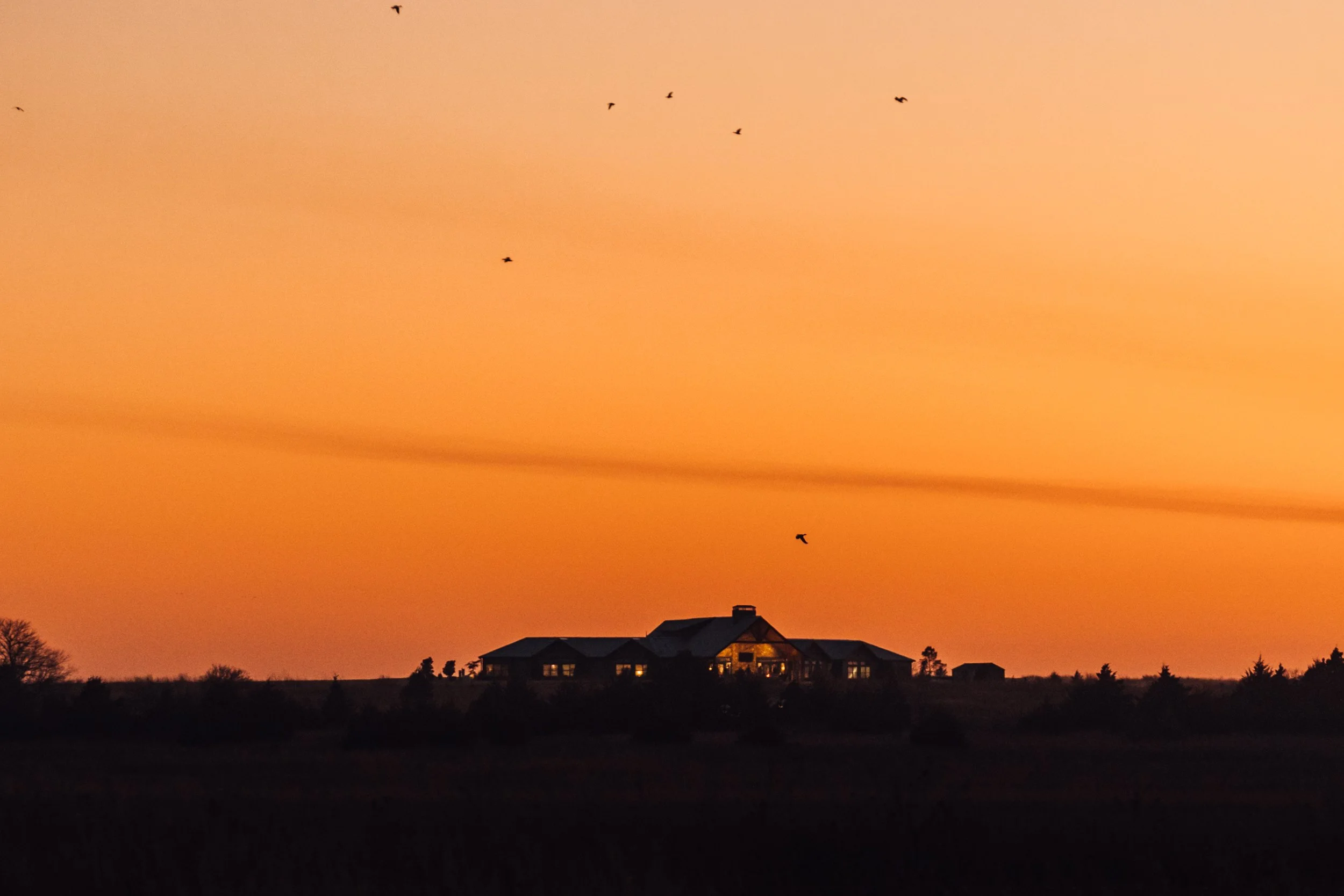 FOWL CO WEBSITE-16.jpg