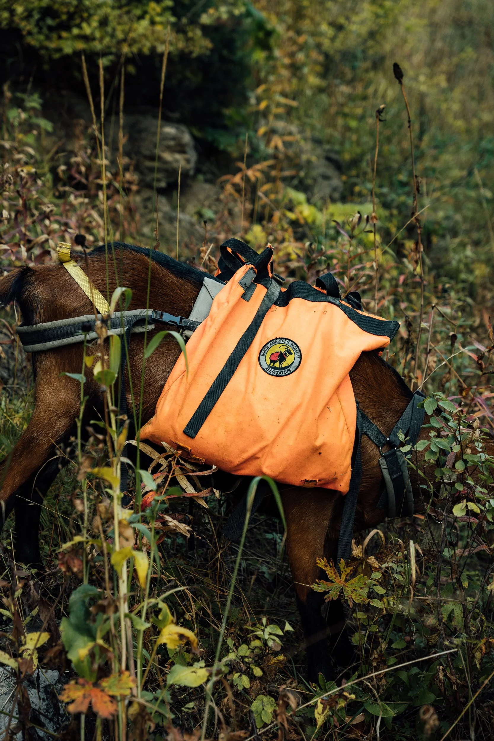 burlebo elk website-34.jpg