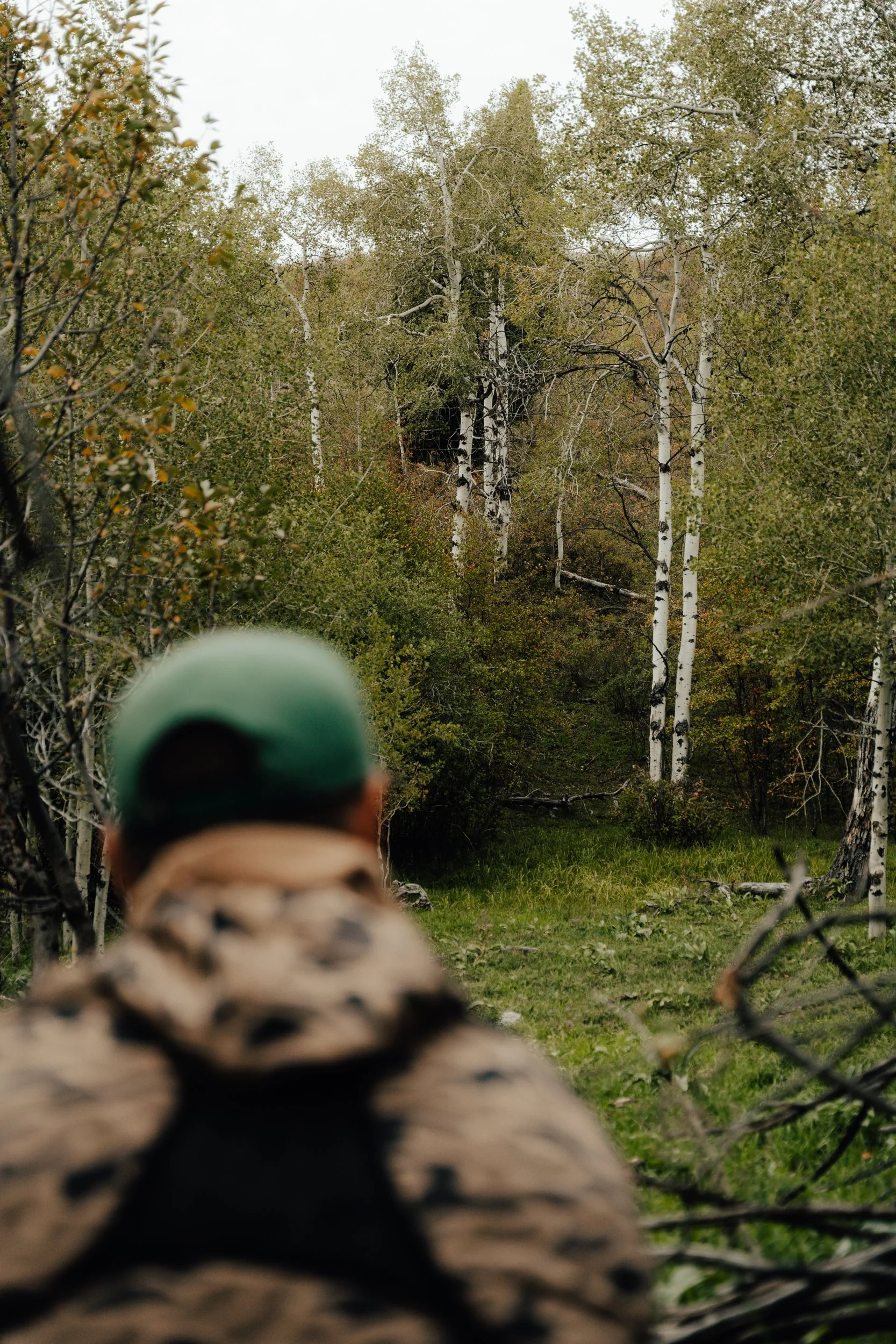 burlebo elk website-3.jpg