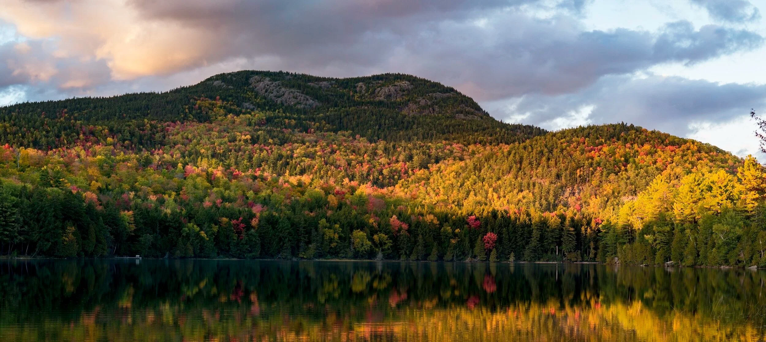 Allergies — Mountain Acupuncture