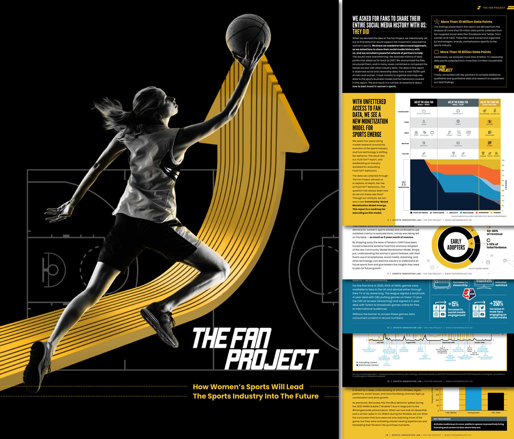 The Fan Project Report: In-Depth