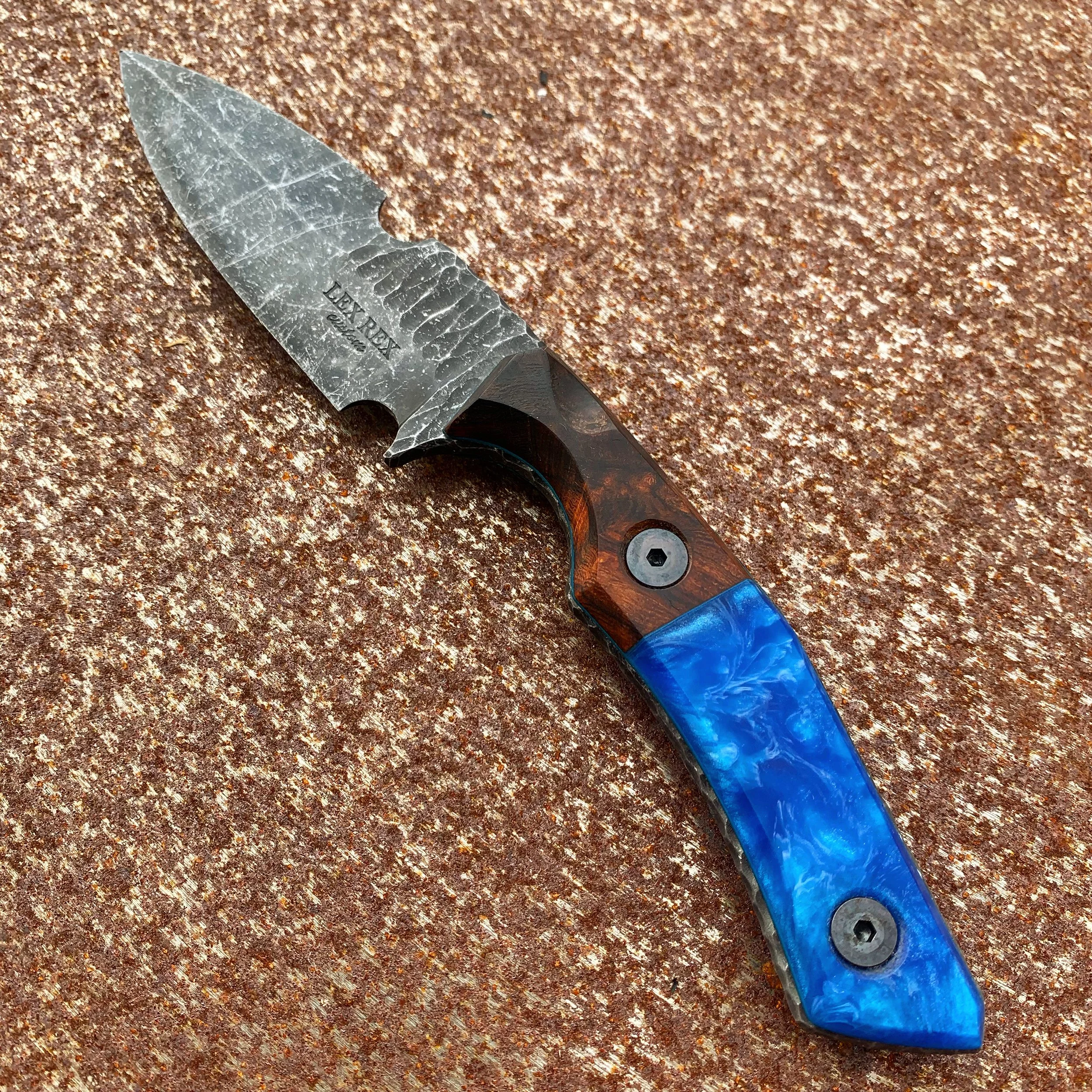 DZCY7956.JPG