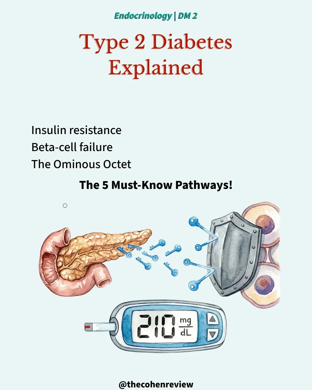 💡 &ldquo;Type 2 diabetes isn&rsquo;t just high blood sugar&mdash;it&rsquo;s a 10-year progressive beta-cell collapse.&rdquo;

T2DM affects 37 million Americans, but most never understand the pathophysiology driving the disease:

🟦 **Insulin resista