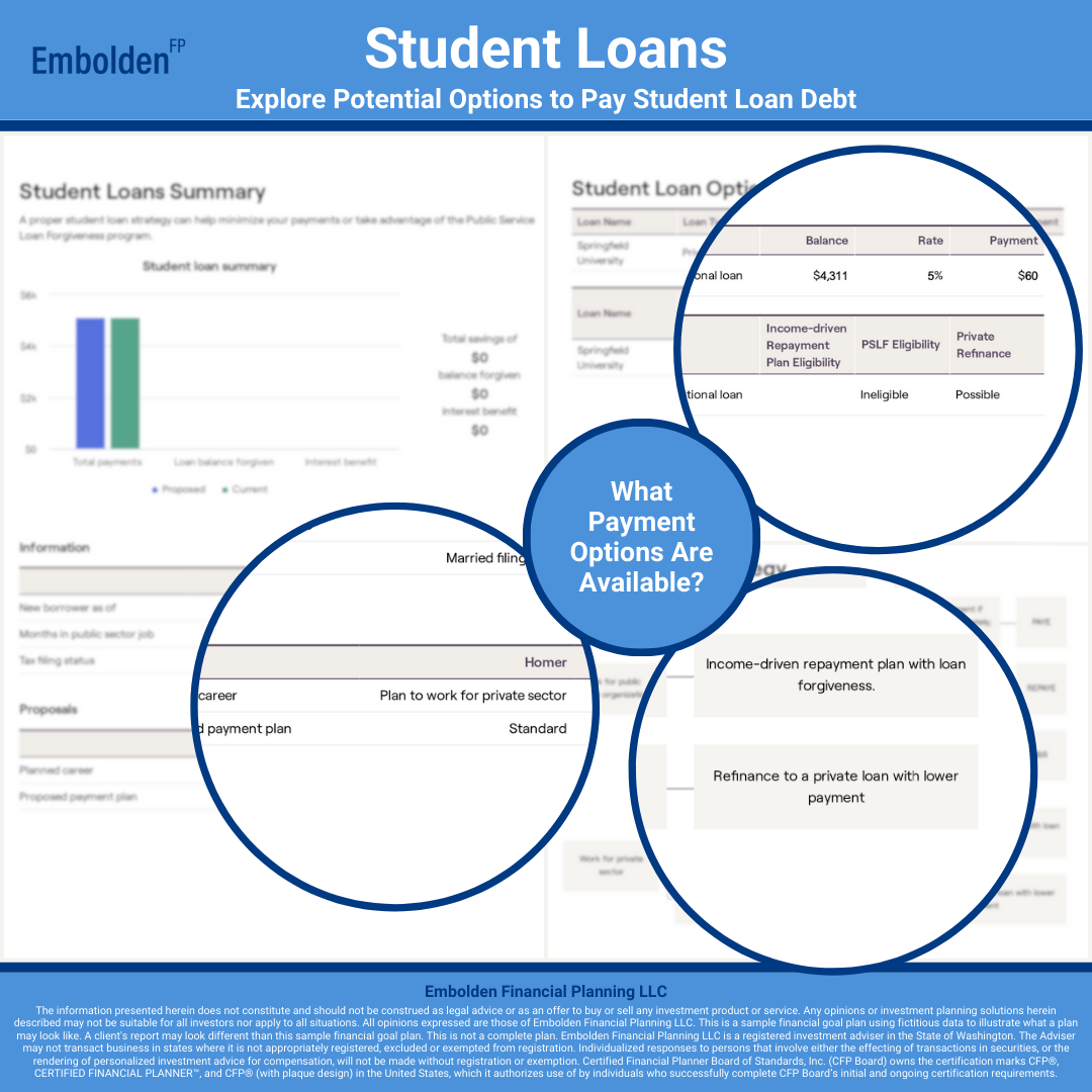 Student Loans Payment Options Financial Goal Plan