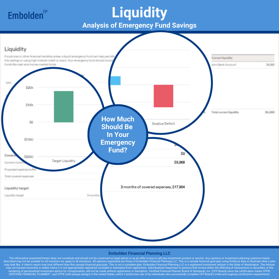 Liquidity Target Financial Goal Plan