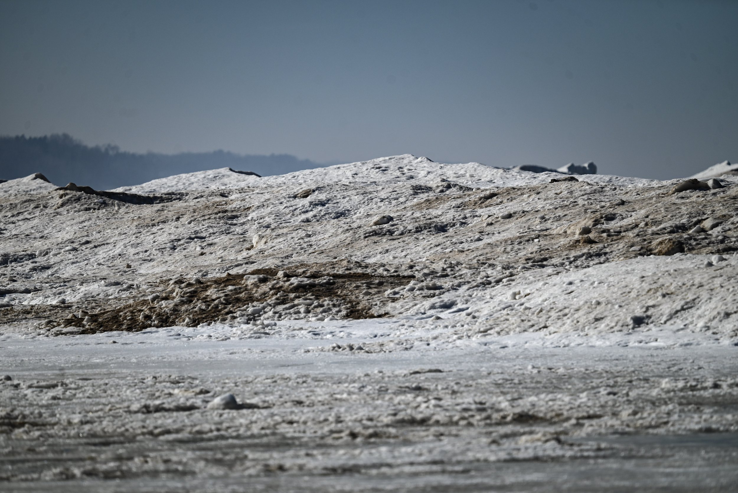 9-DSC_8265.jpg