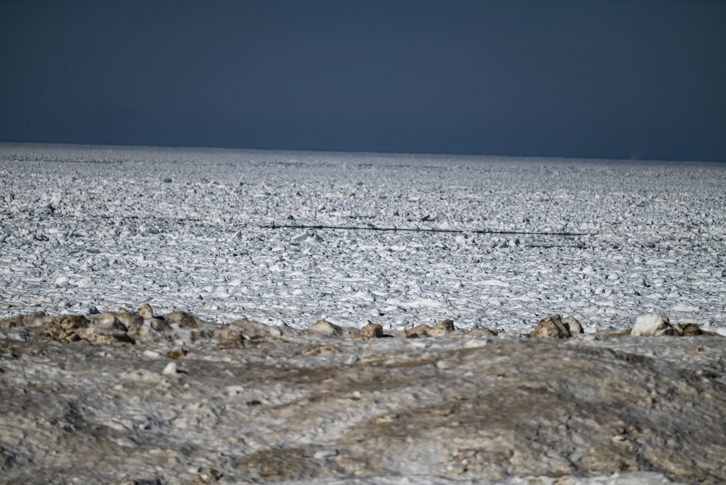 5-DSC_8248.jpg