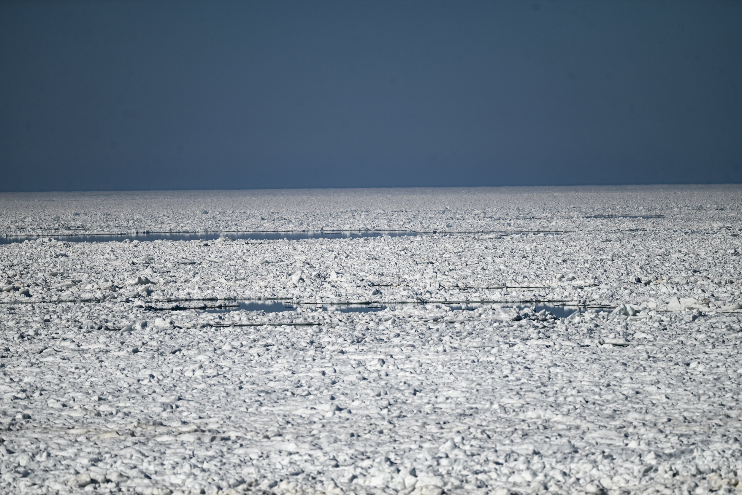 11-DSC_8271.jpg