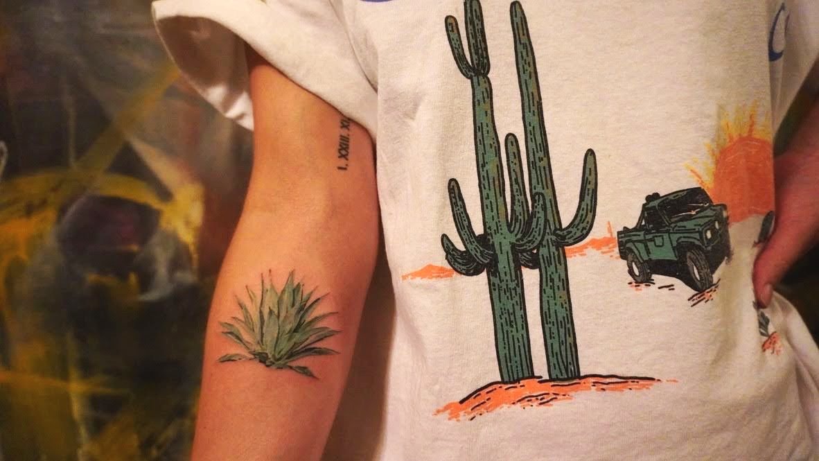 Agave Deserti (Plant) 