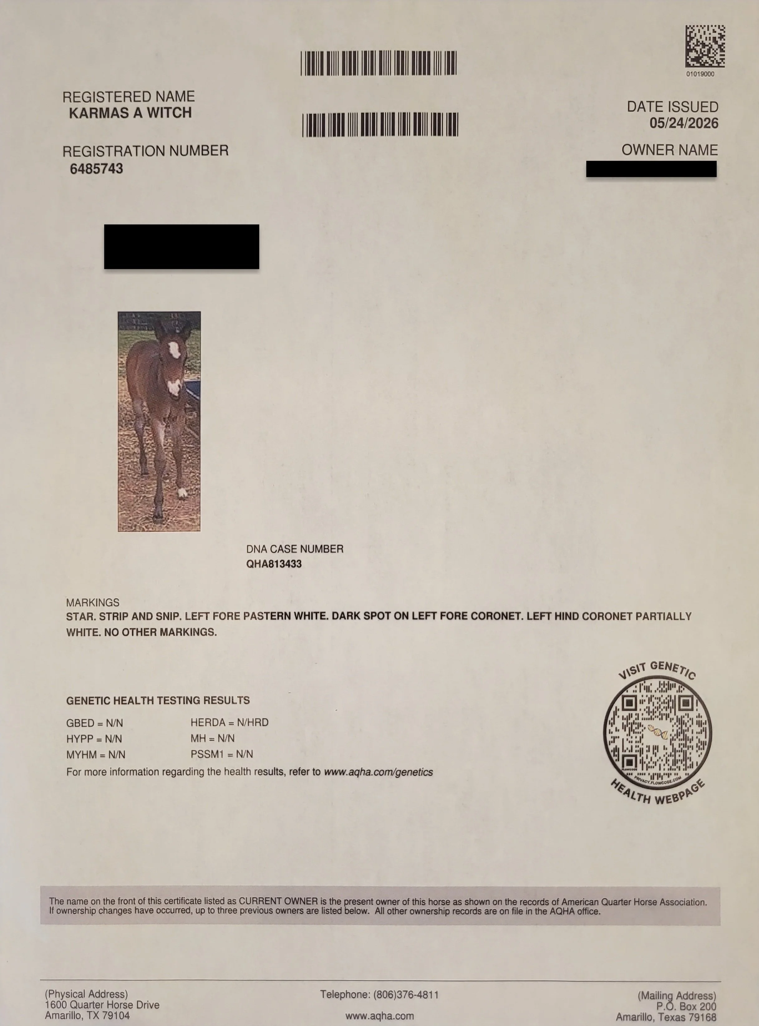 back of reg papers.jpg
