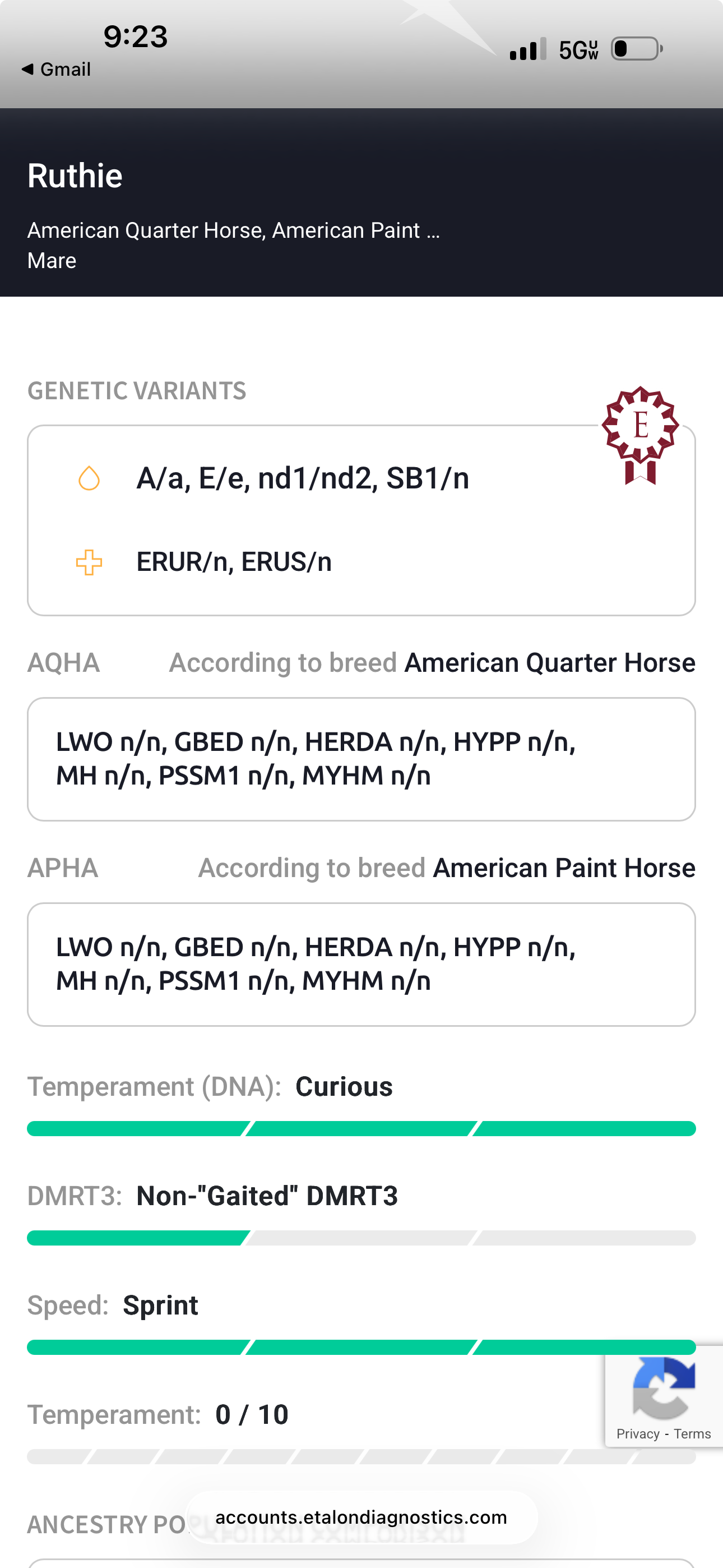 Etalon Diagnostics.png