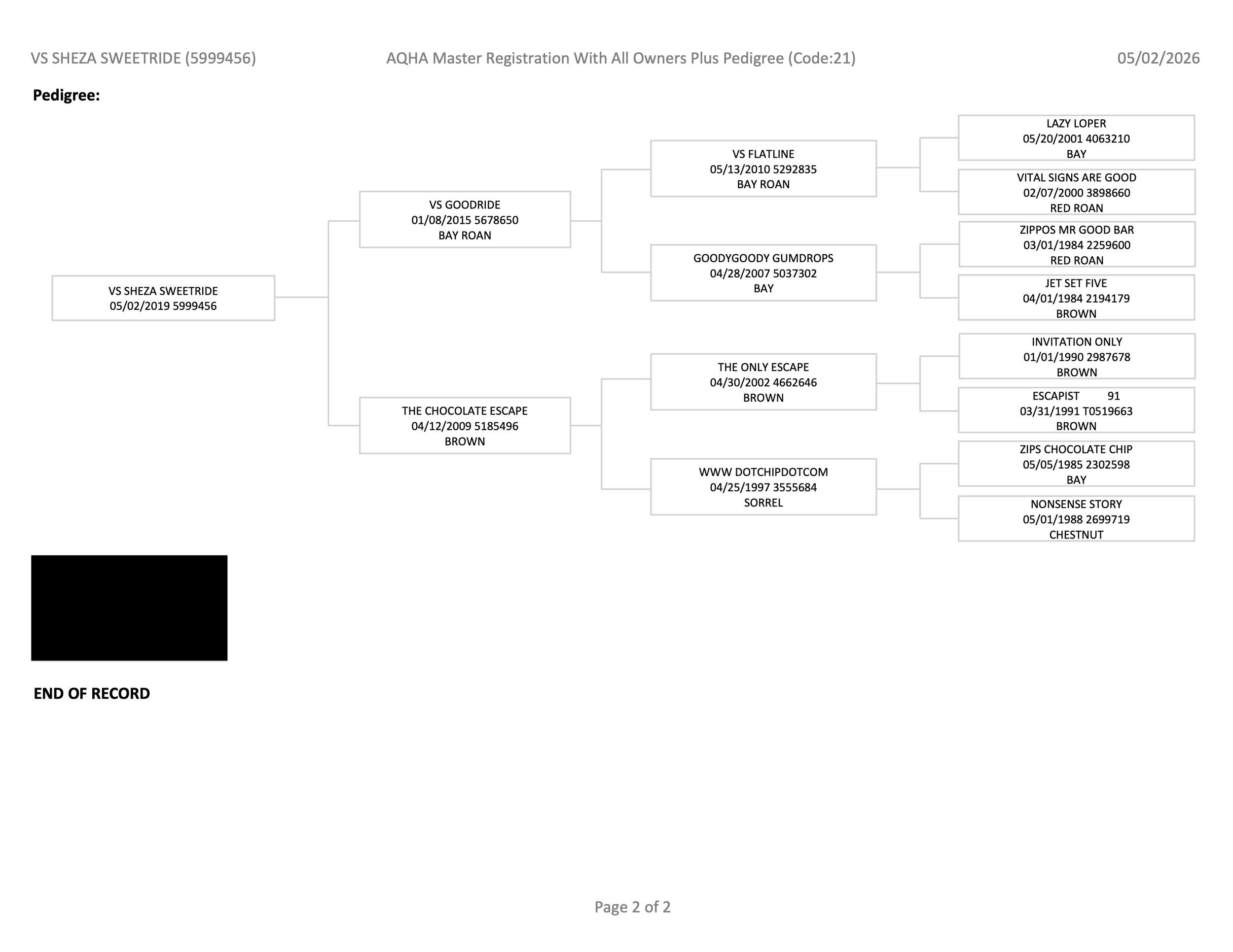 VSShezASweetRide_Pedigree.png
