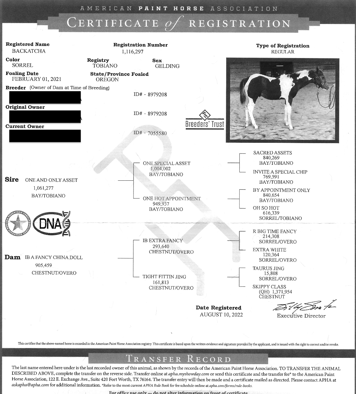 Screenshot 2026-02-07 at 8.44.49 AM.png